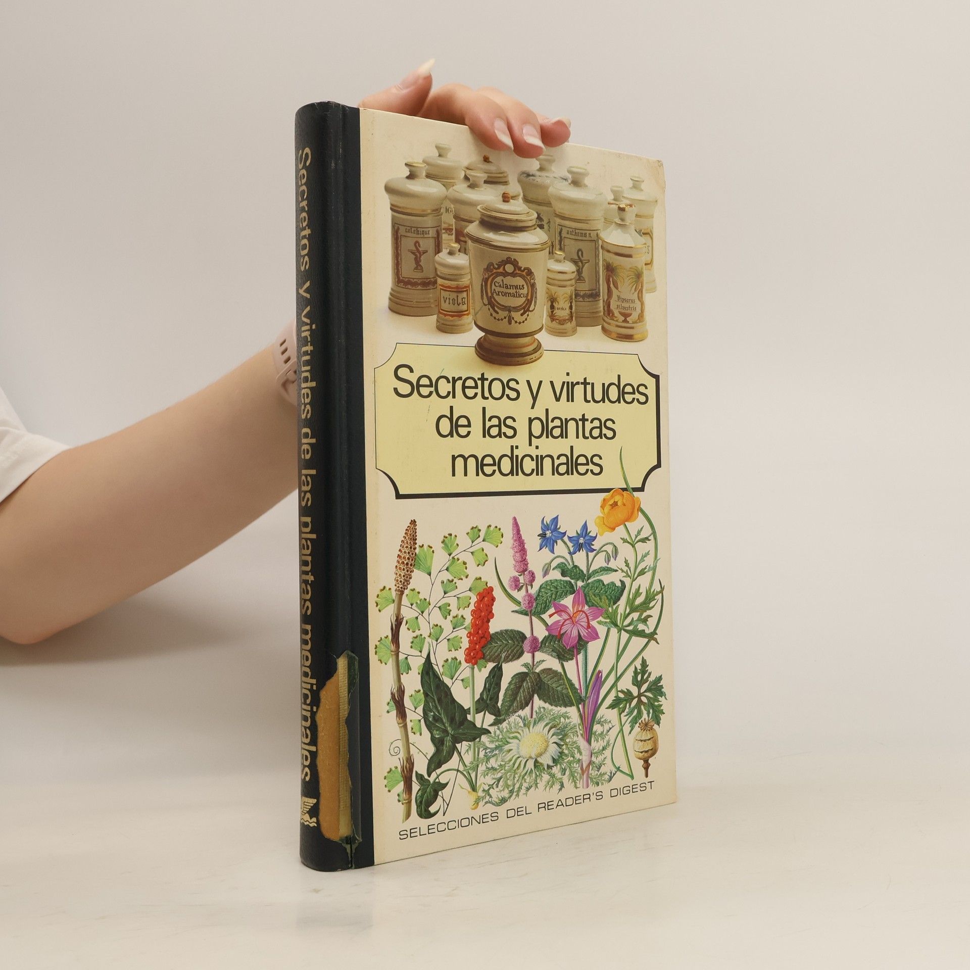 Collectif d'auteurs Secretos y virtudes de las plantas medicinales
