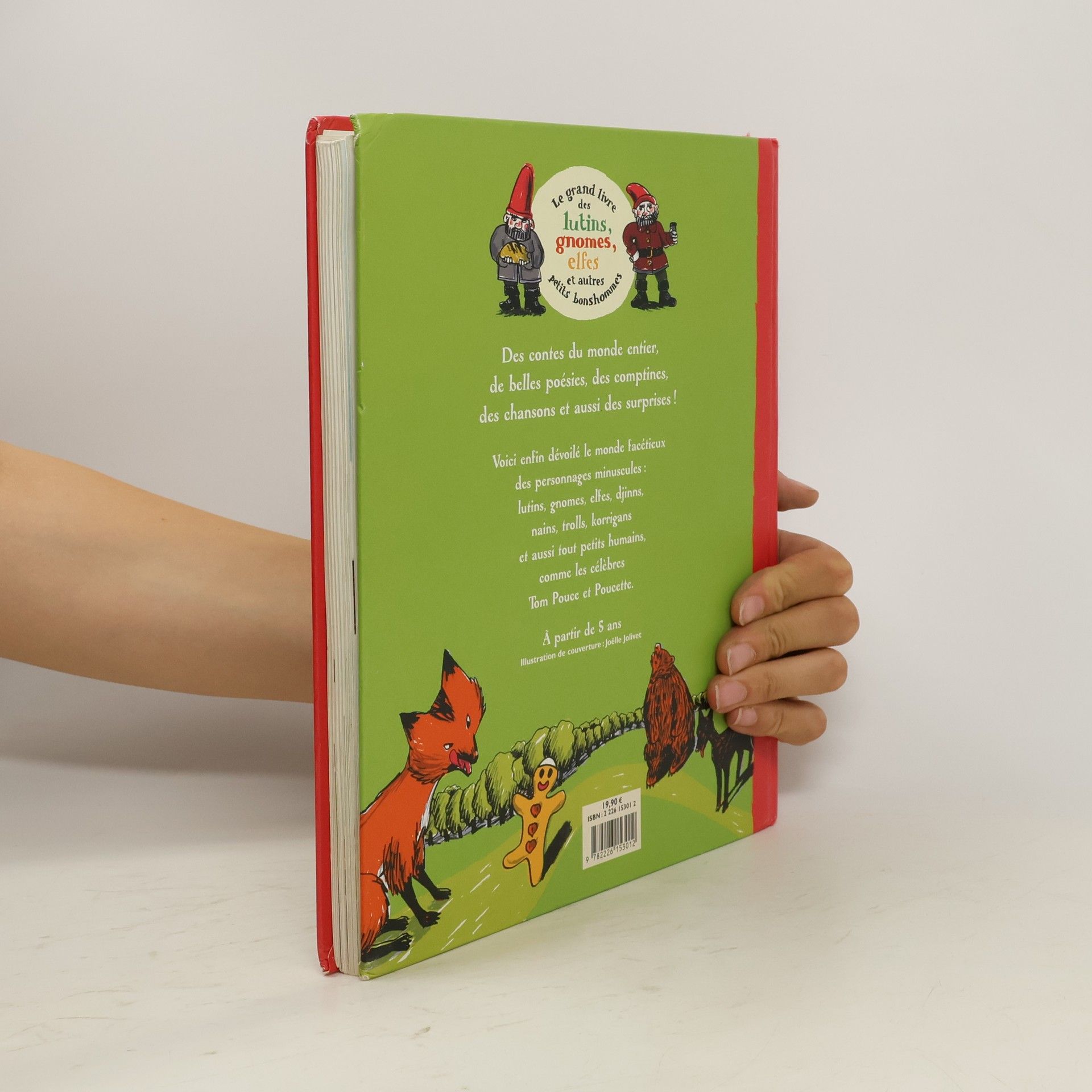 Autores varios Le grand livre des lutins, gnomes, elfes et autres petits bonshommes