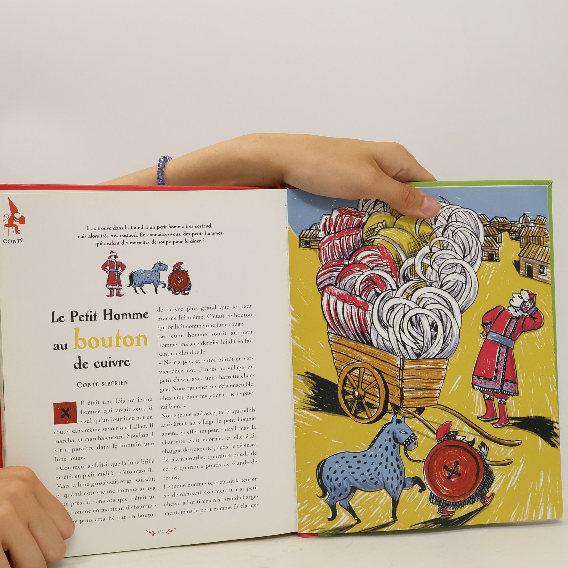 Autores varios Le grand livre des lutins, gnomes, elfes et autres petits bonshommes