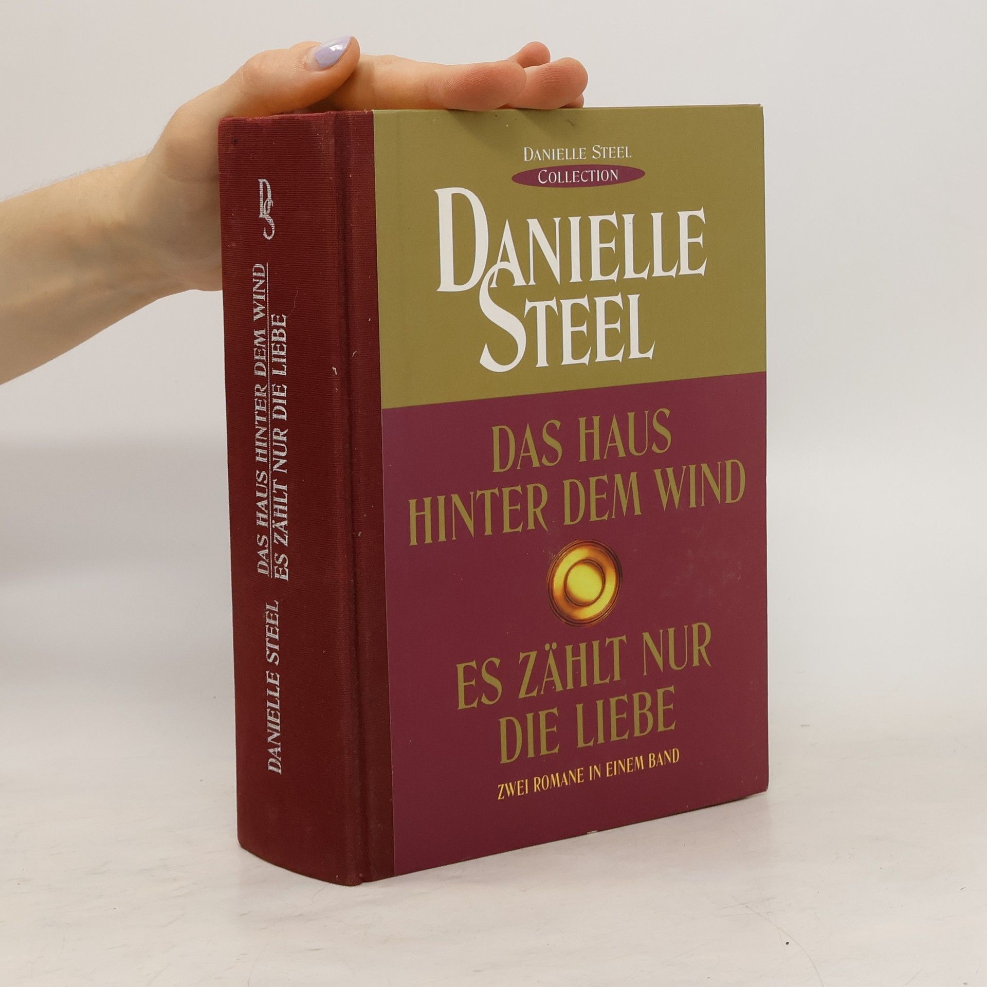 Danielle Steelová Das Haus hinter dem Wind. Es zählt nur die Liebe