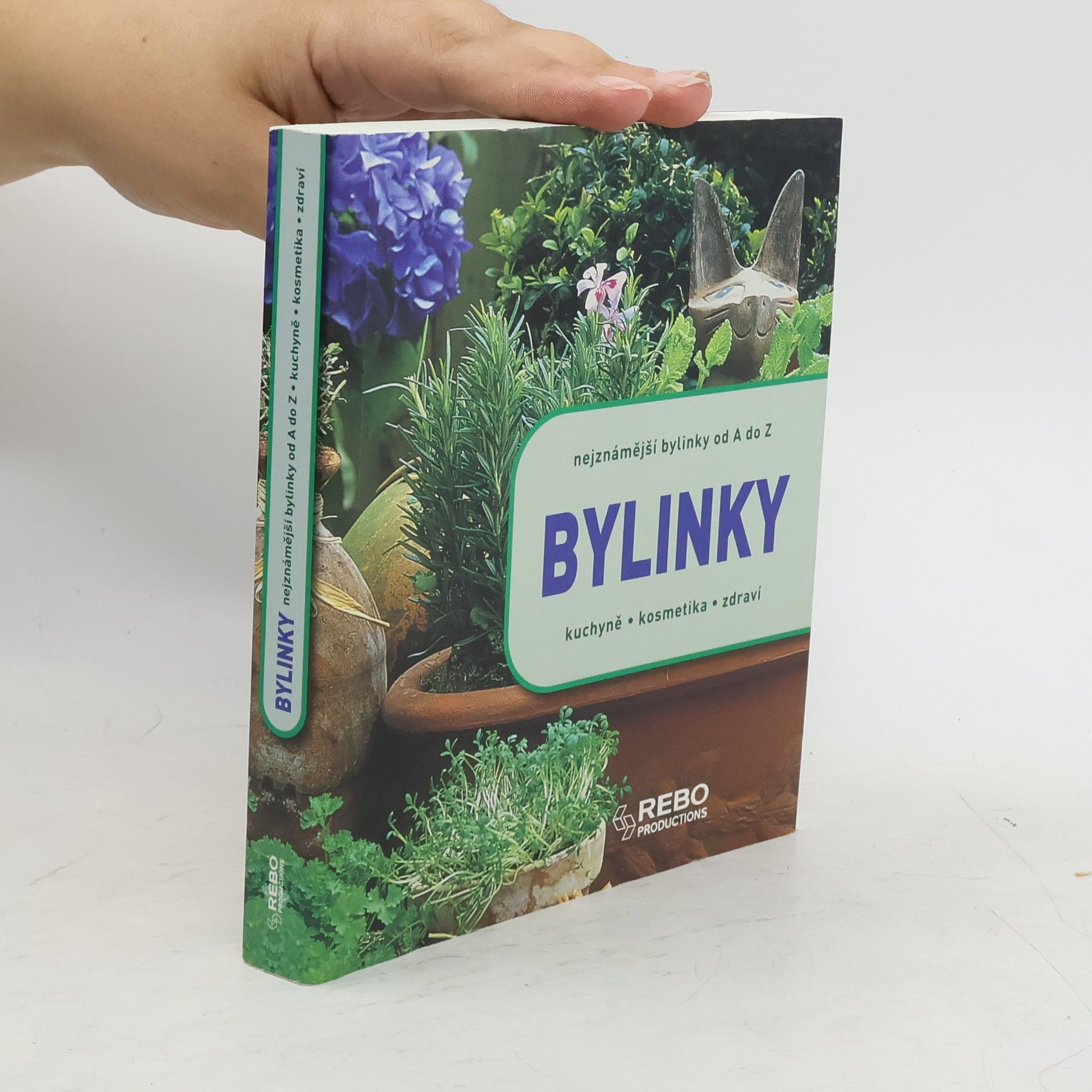 Andrea Rausch Bylinky. Nejznámější bylinky od A do Z. Kuchyně, kosmetika, zdraví