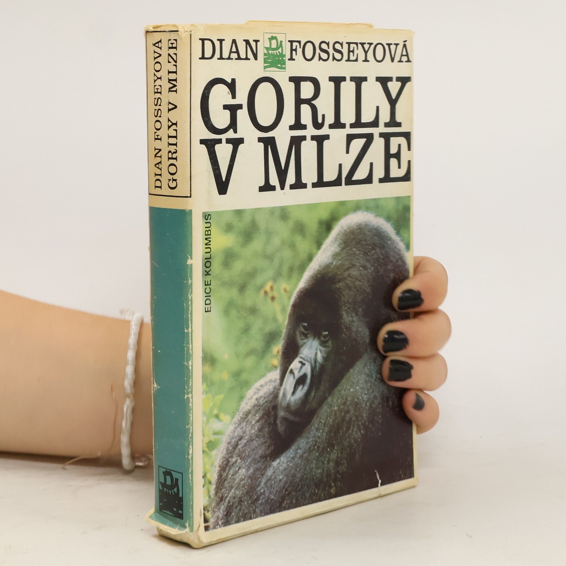 Dian Fossey Gorily v mlze