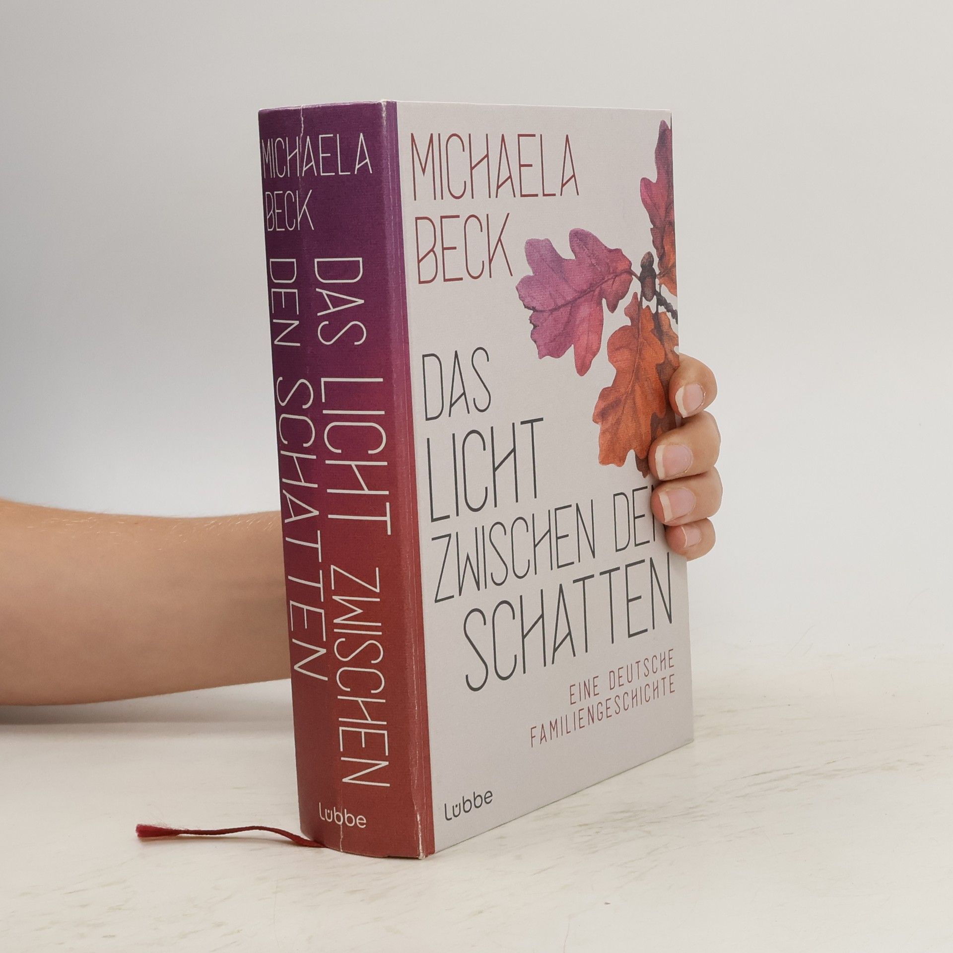 Michaela Beck Das Licht zwischen den Schatten