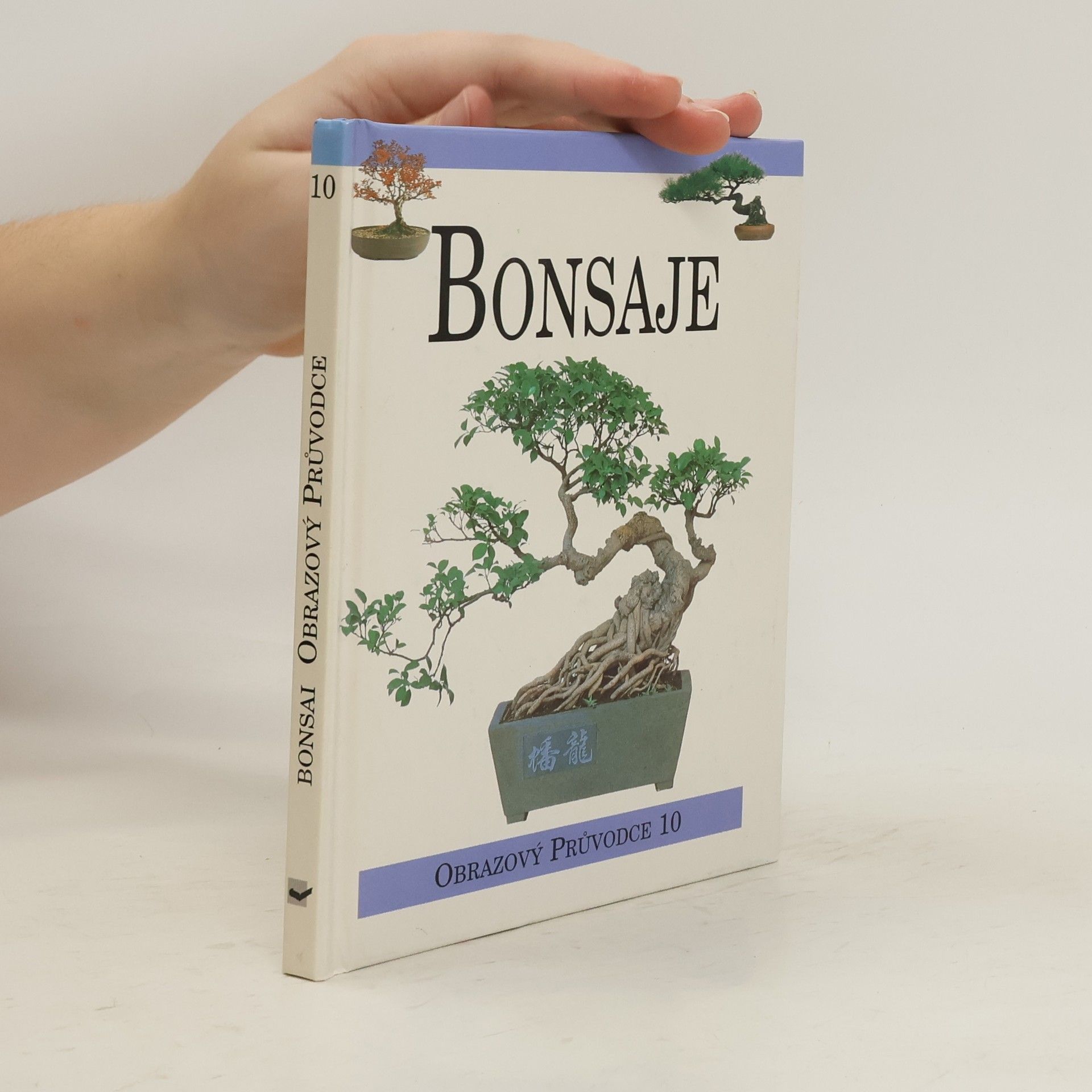 Autorenkollektiv Bonsaje