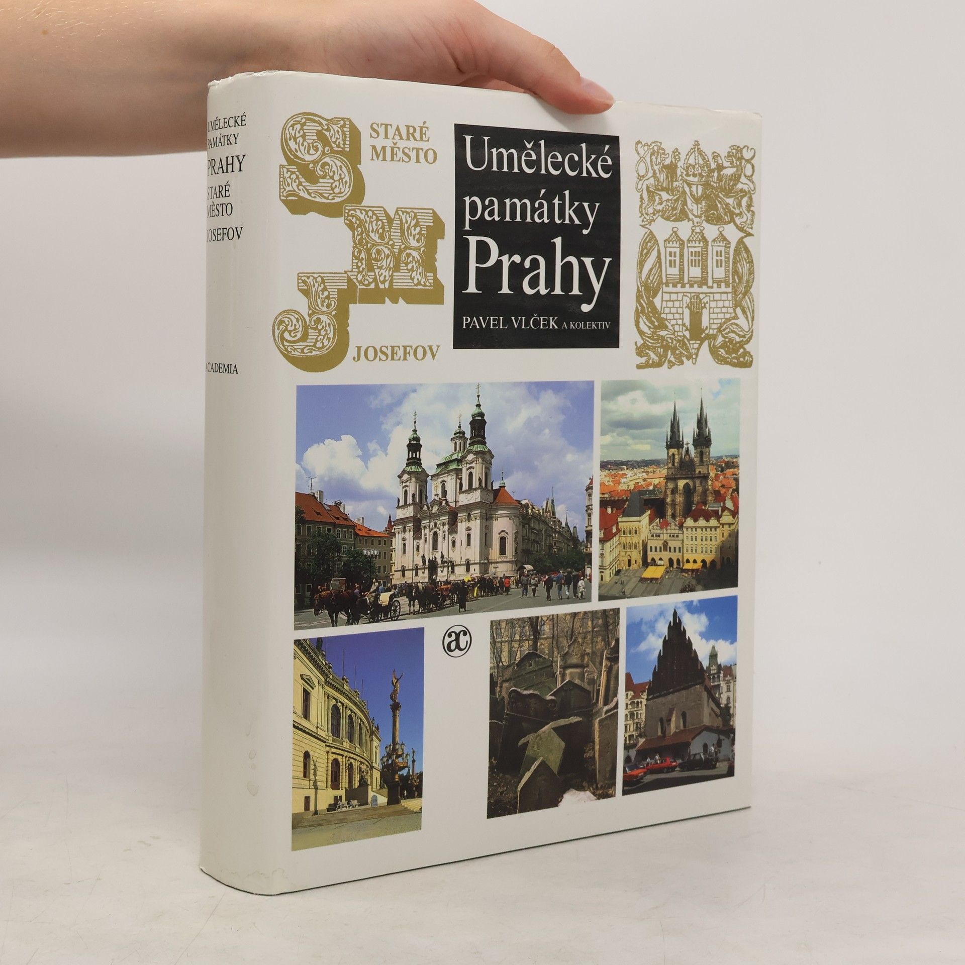 Pavel Vlček Umělecké památky Prahy. Staré město - Josefov.