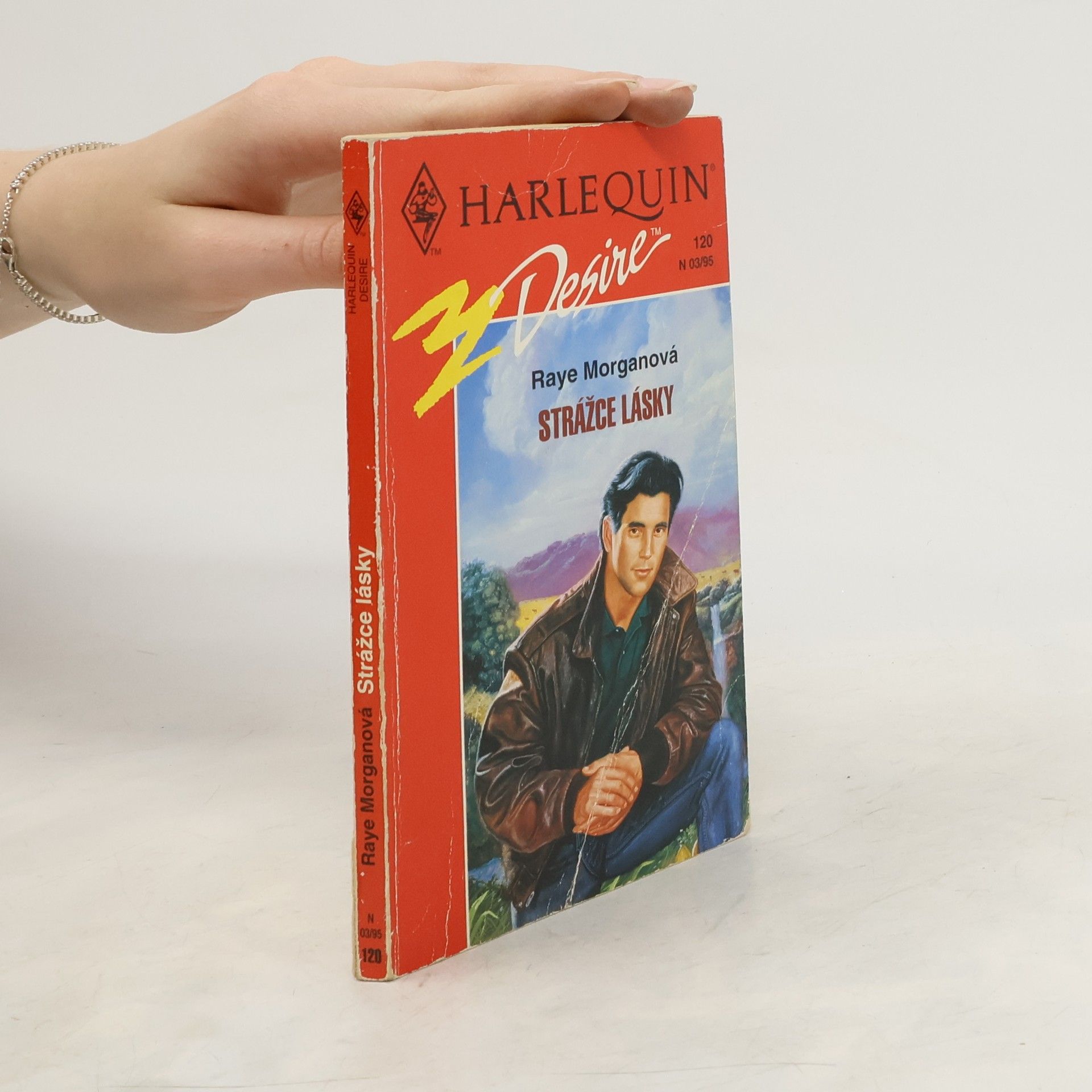 Raye Morgan Strážce lásky