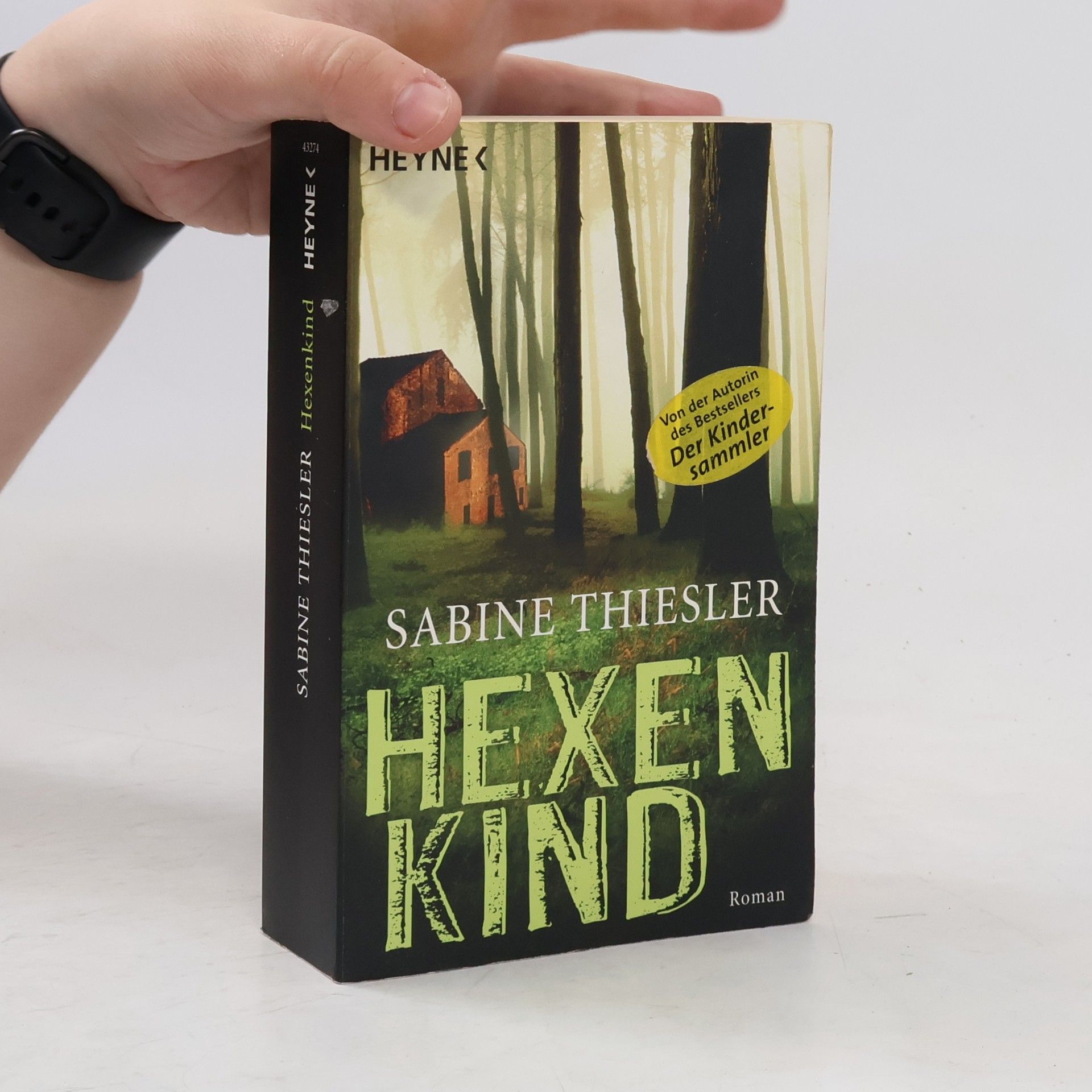 Sabine Thiesler Hexenkind - Roman