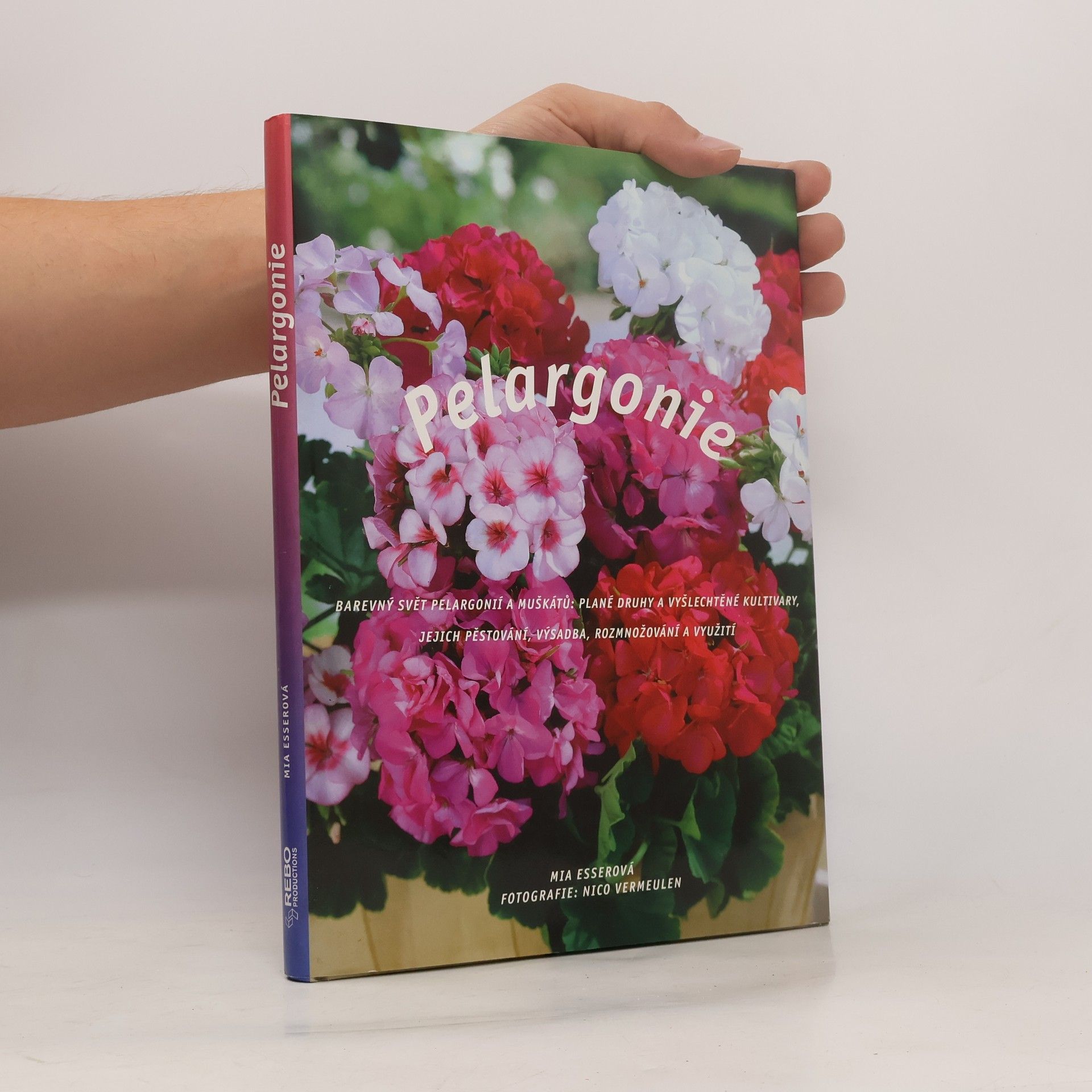 Mia Esser Pelargonie