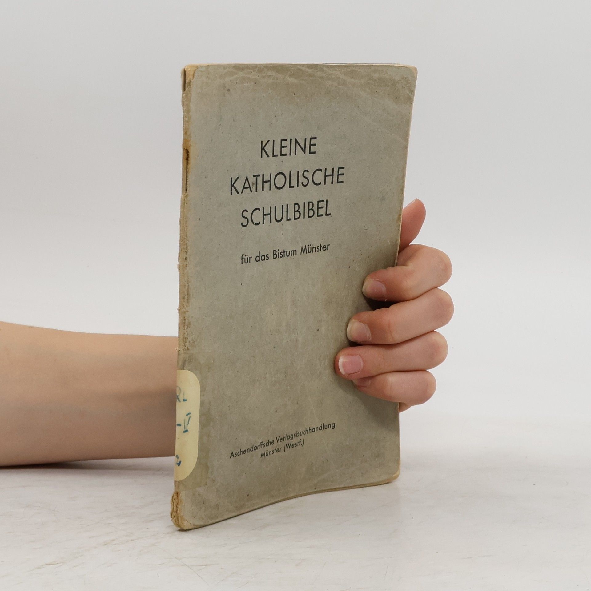 Kolektiv autorů Kleine Katholische Schulbibel für das Bistum Münster