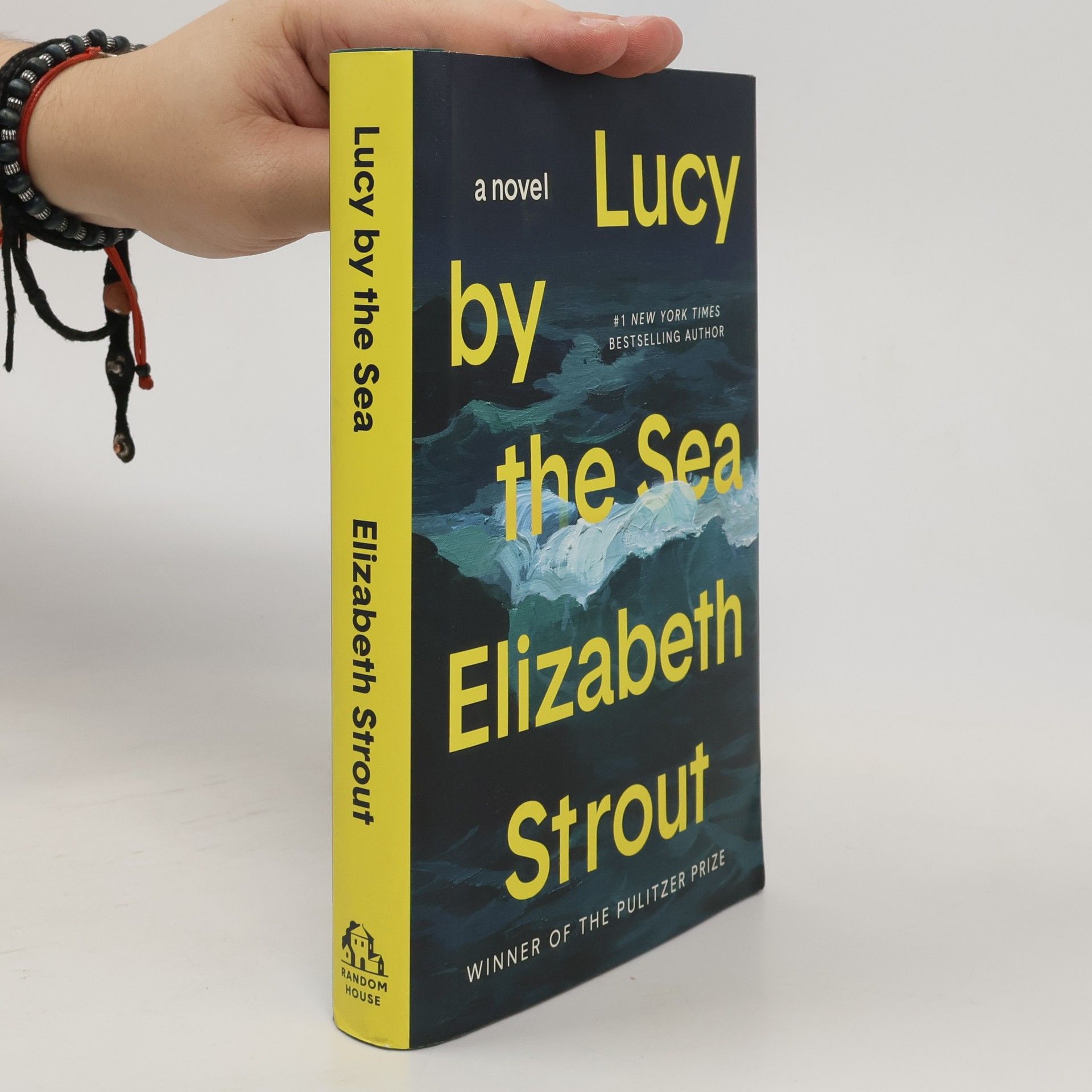 Elizabeth Strout Lucy by the Sea