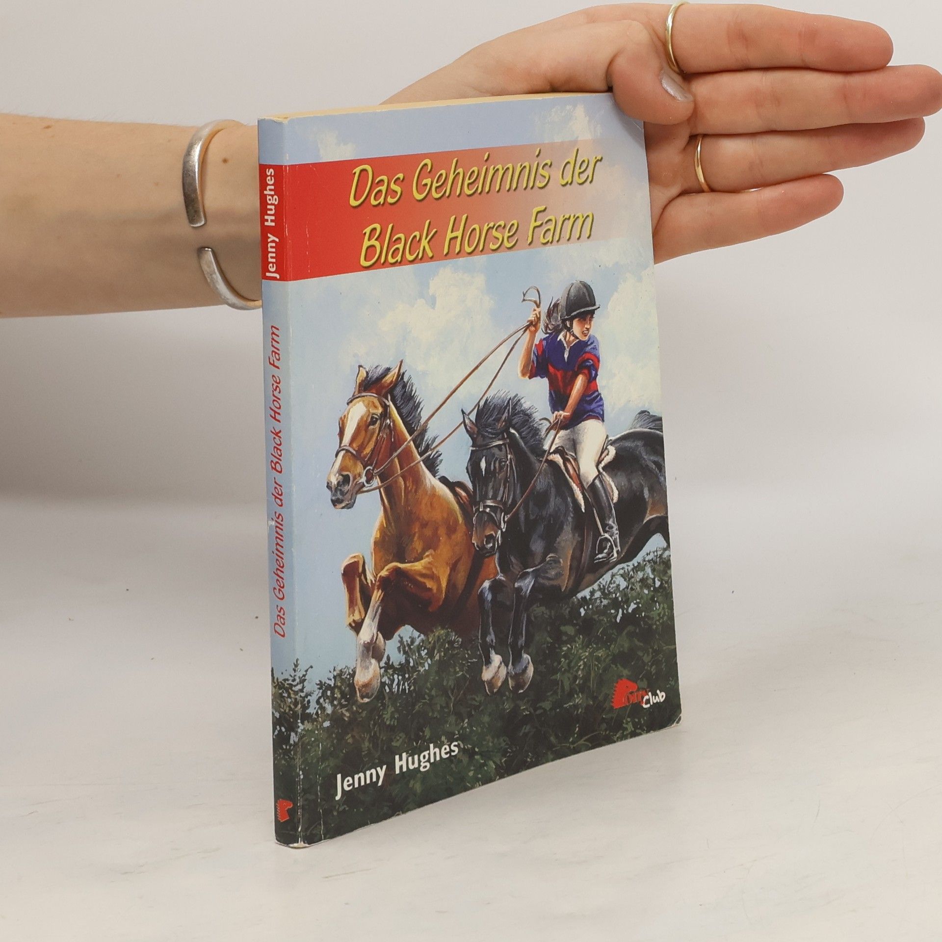 Jenny Hughes Das Geheimnis der Black-horse-Farm