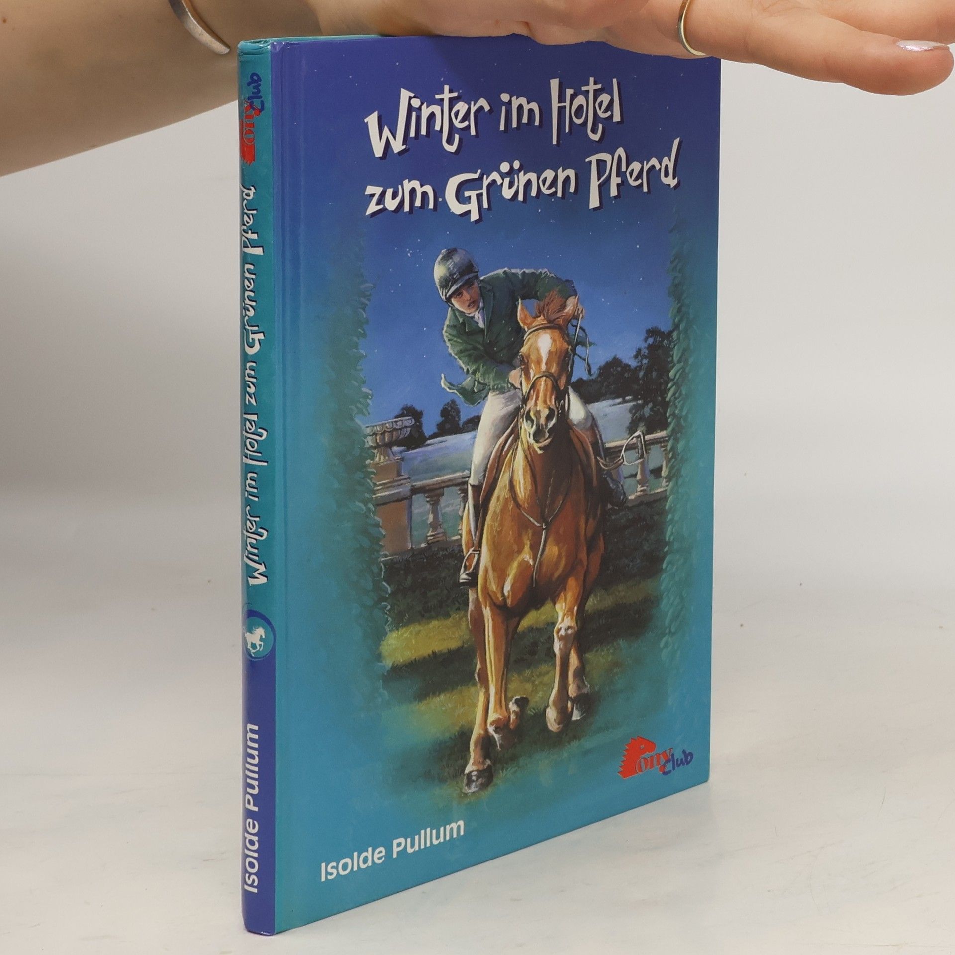 Isolde Pullum Winter im Hotel zum Grünen Pferd