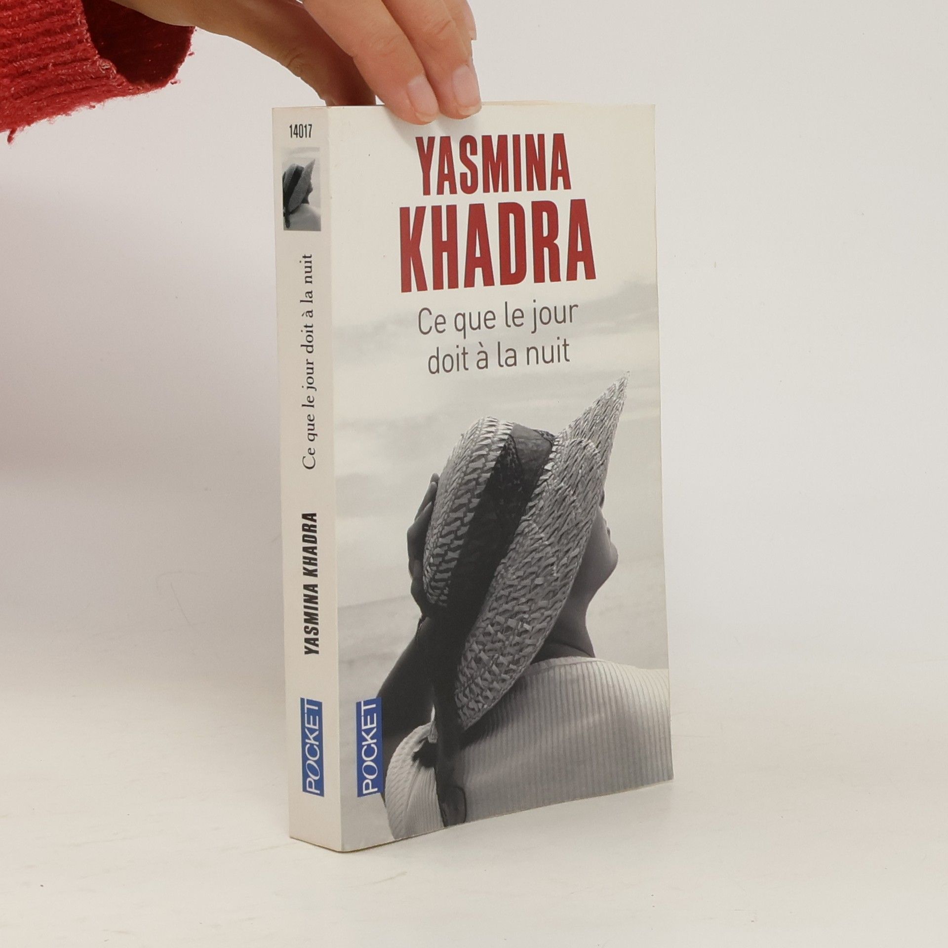 Yasmina Khadra Ce que le jour doit à la nuit