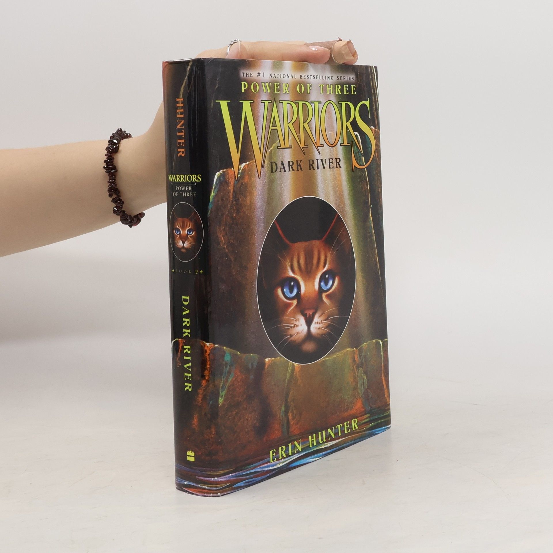 Erin Hunter Warriors: Power of Three #2: Dark River