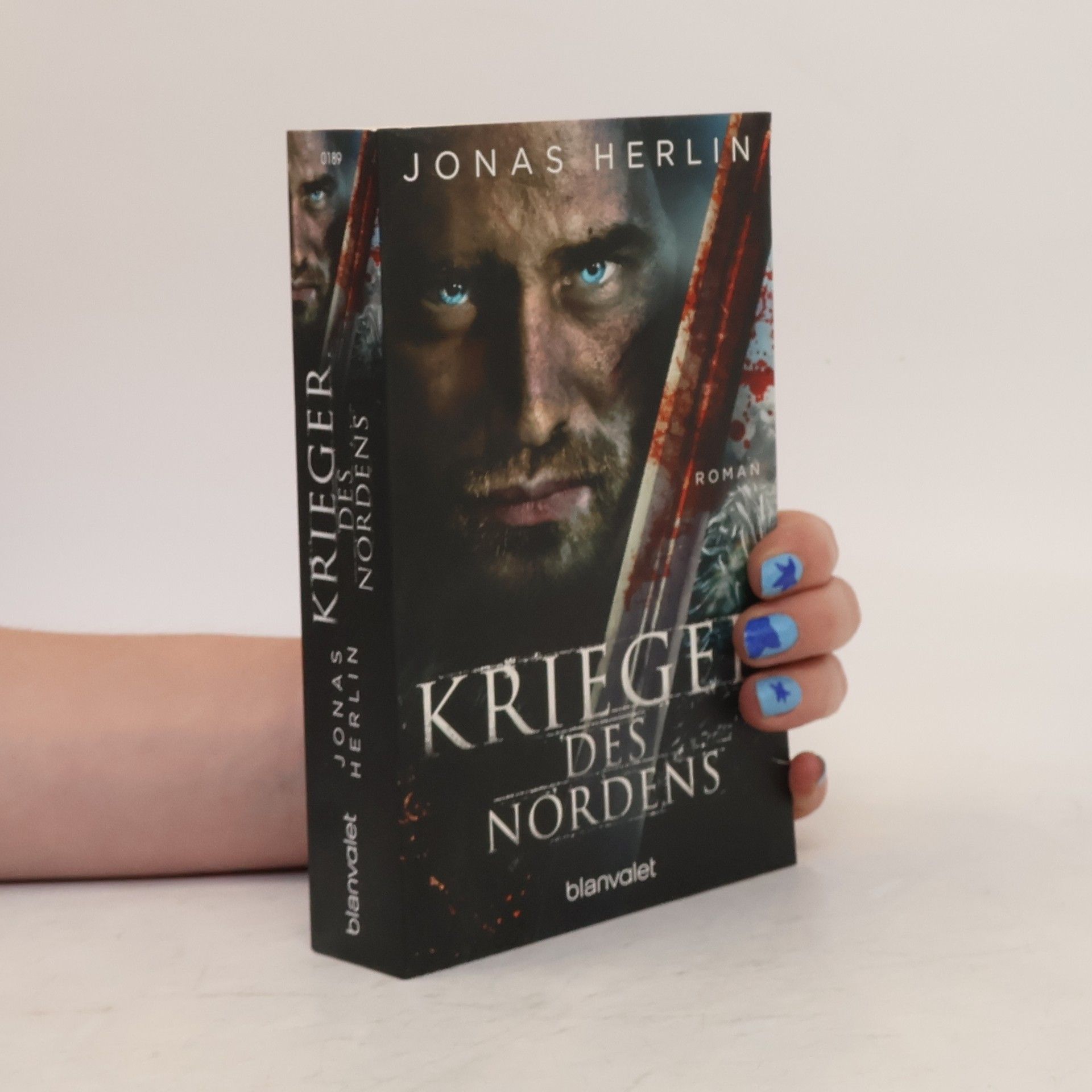 Jonas Herlin Krieger des Nordens