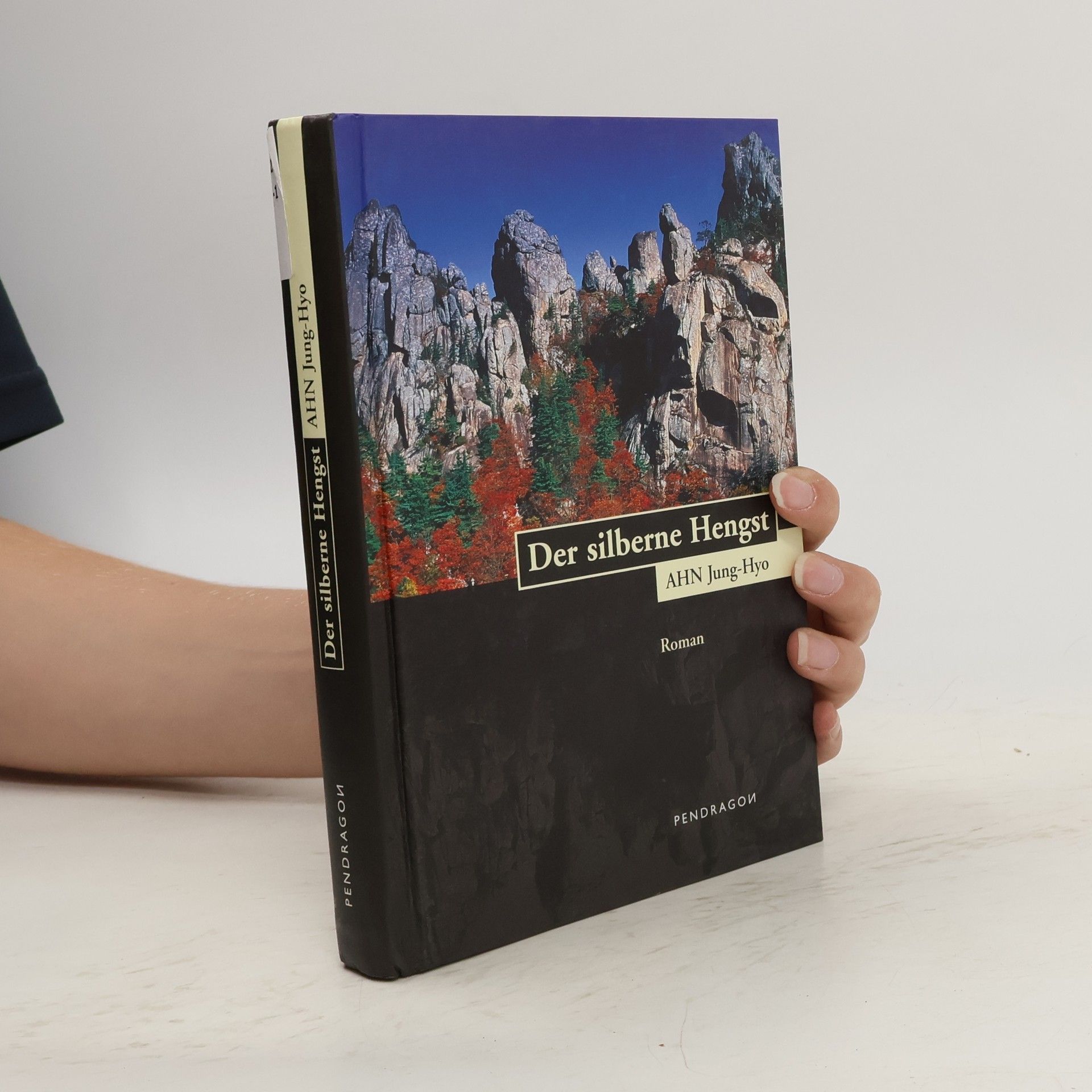 Junghyo Ahn Der silberne Hengst