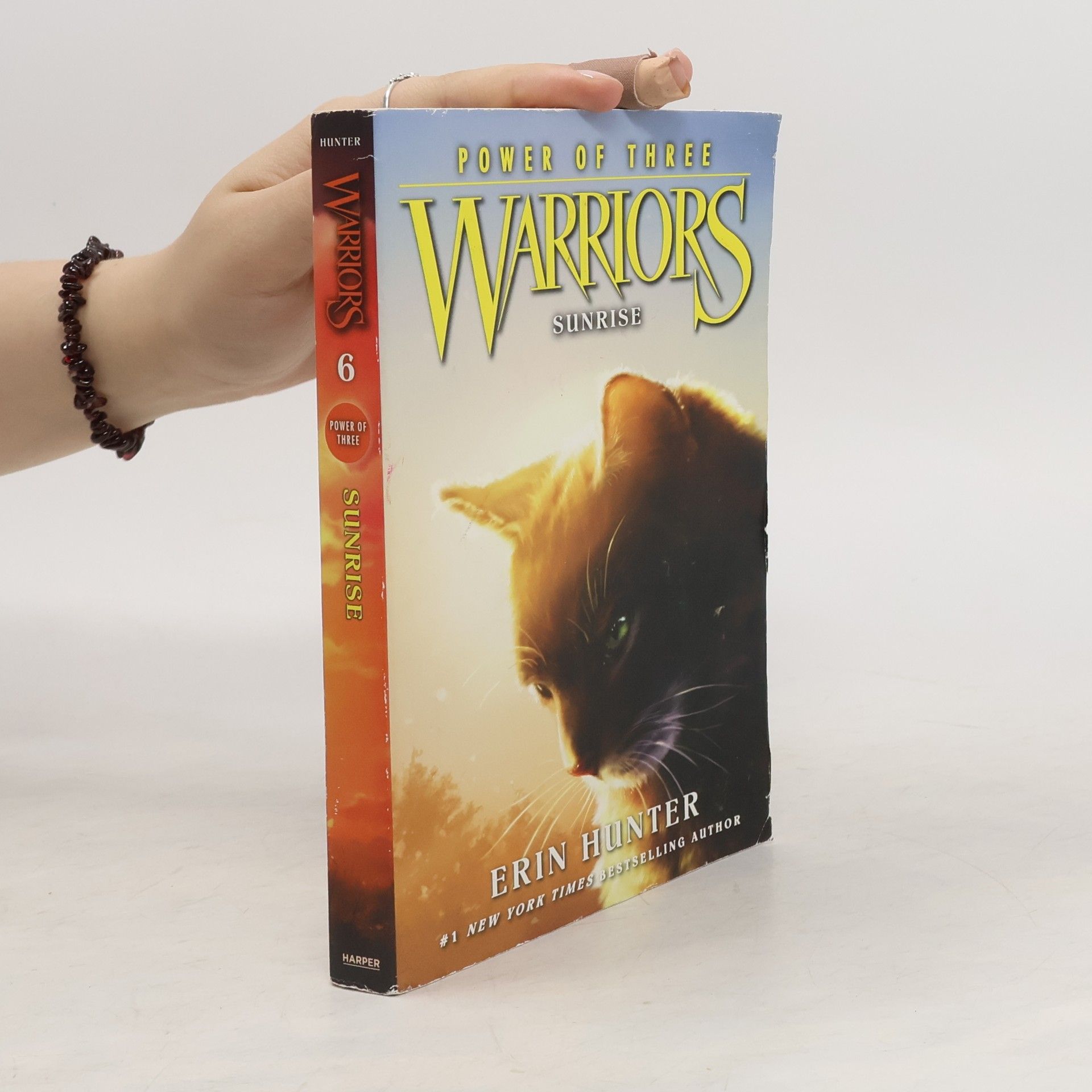 Erin Hunter Warriors: Power of Three. Sunrise