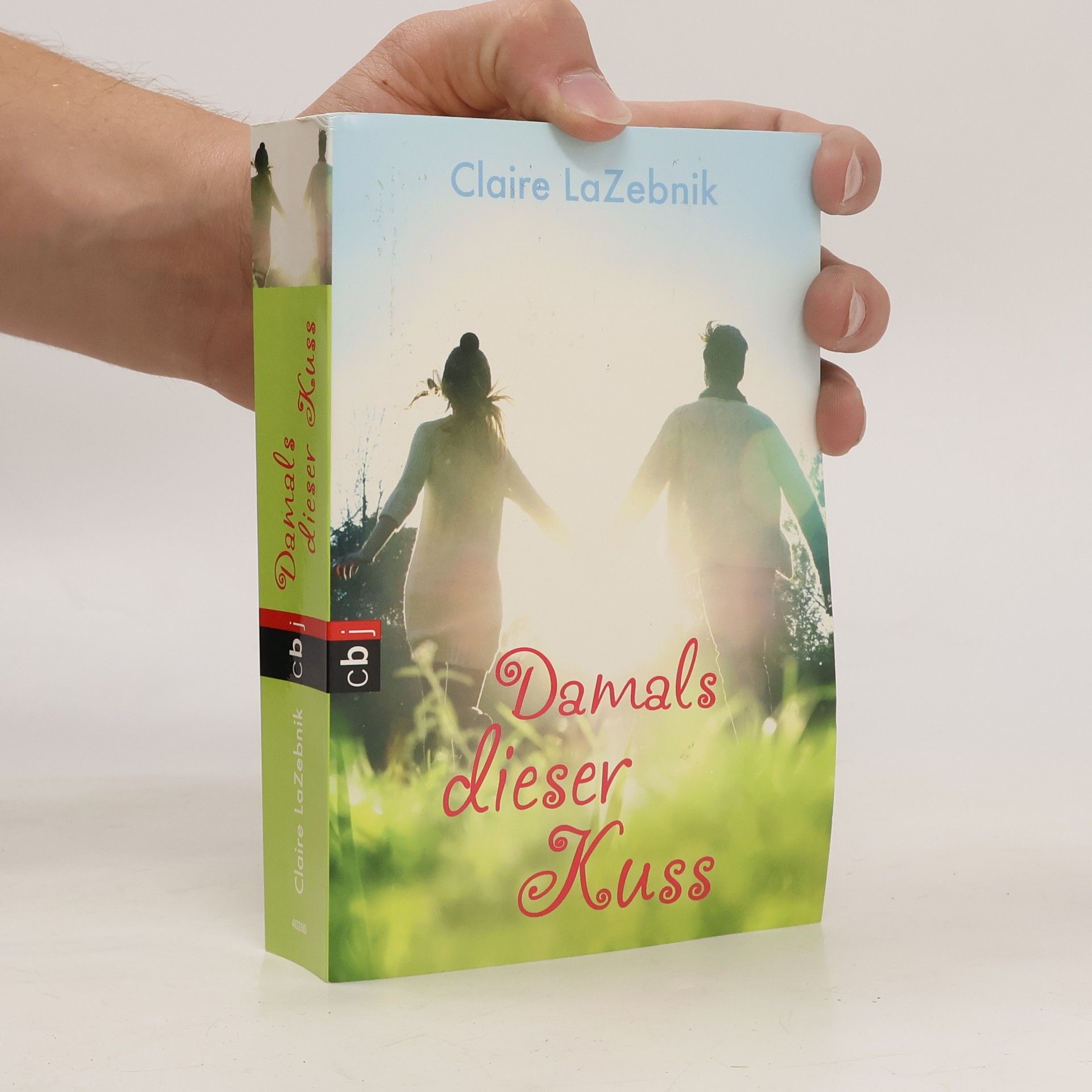 Claire LaZebnik Damals dieser Kuss