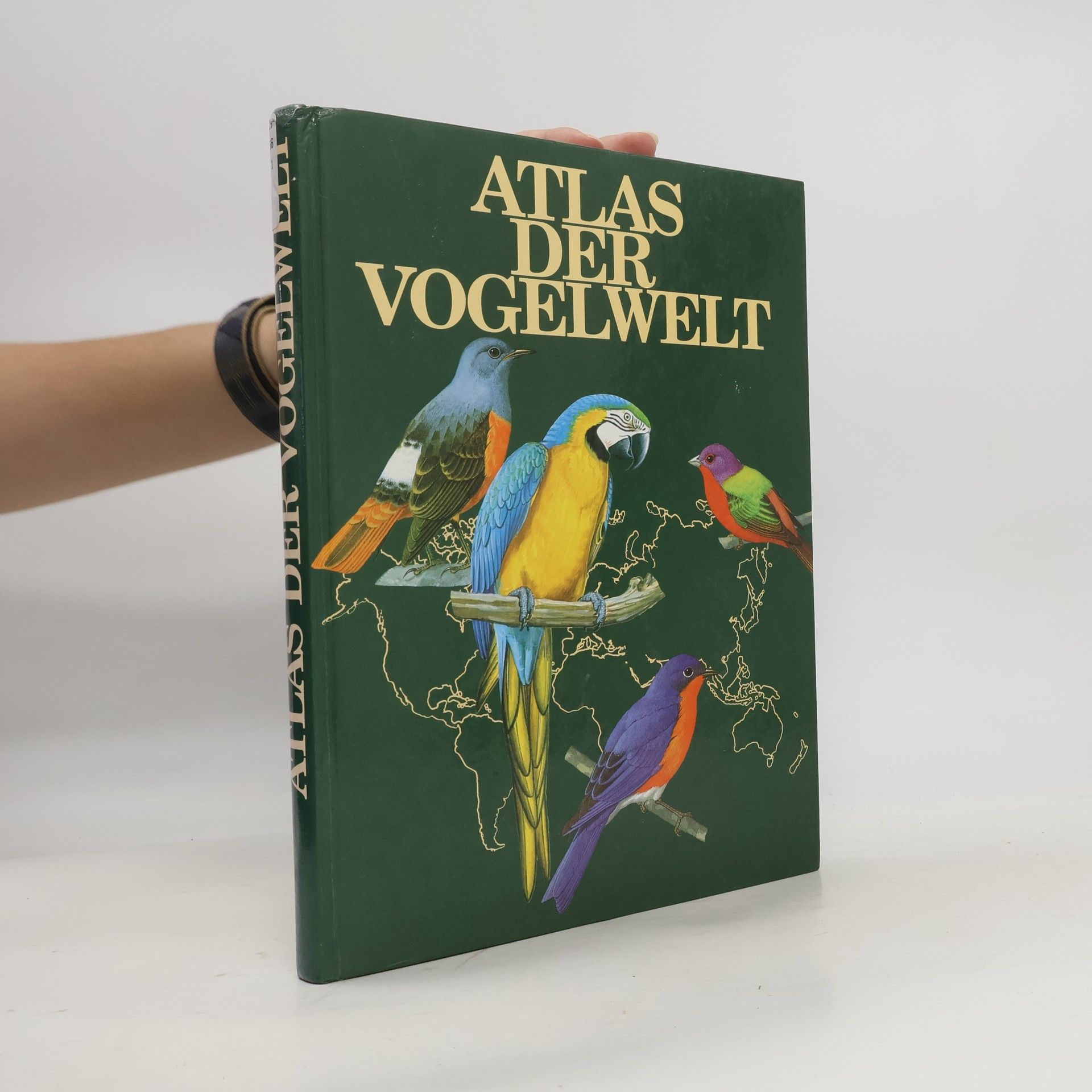 Goetz Rheinwald Atlas der Vogelwelt
