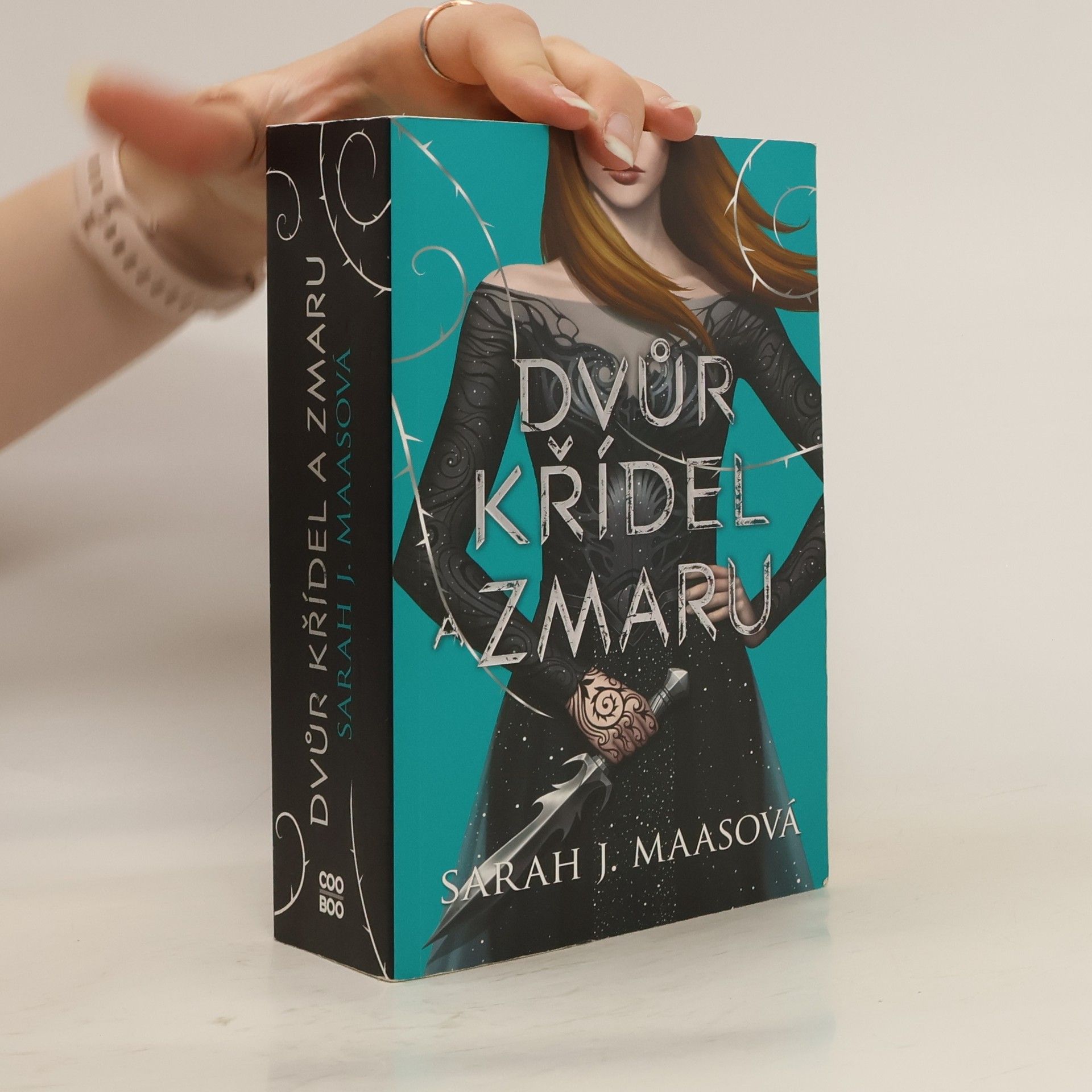 Sarah J. Maasová Dvůr křídel a zmaru