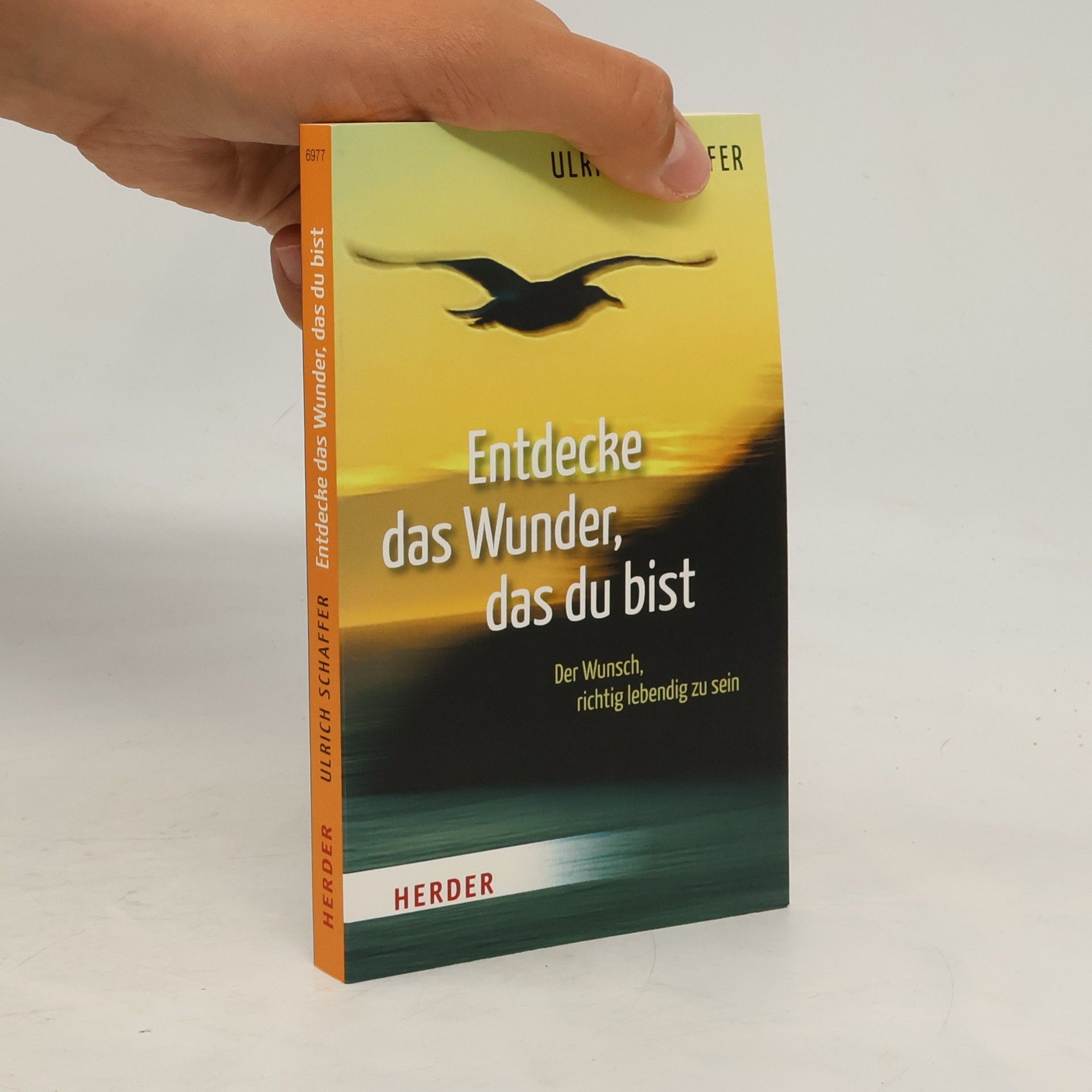 Ulrich Schaffer Entdecke das Wunder, das du bist