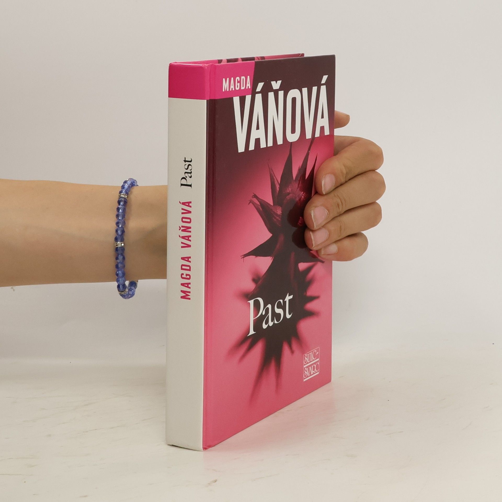 Váňová Magda Past