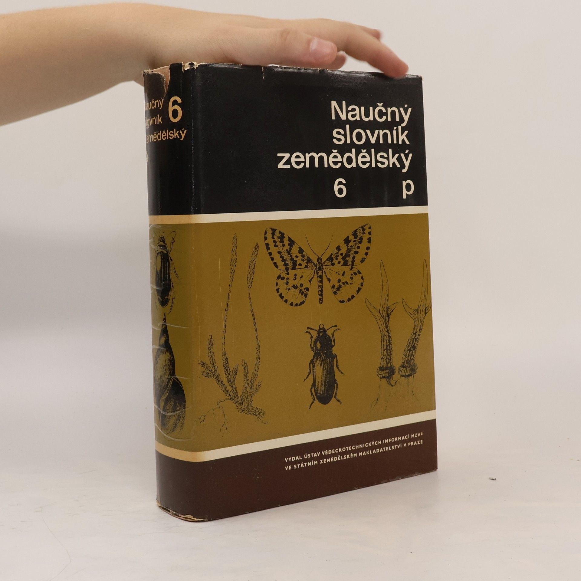 Collectif d'auteurs Naučný slovník zemědělský 6 - P