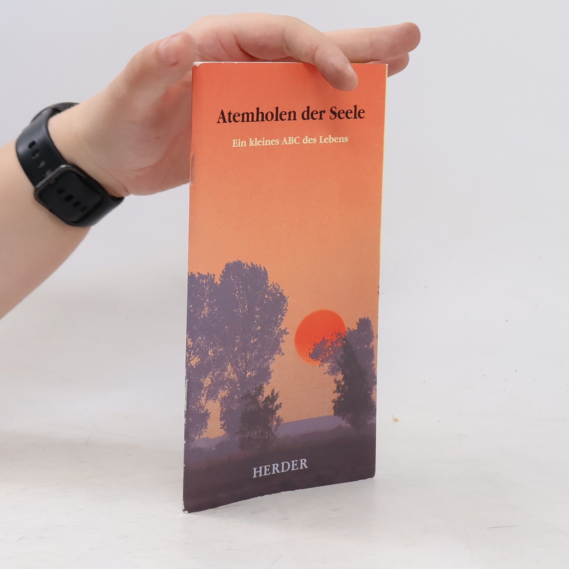 Autorenkollektiv Atemholen der Seele: Ein kleines ABC des Lebens