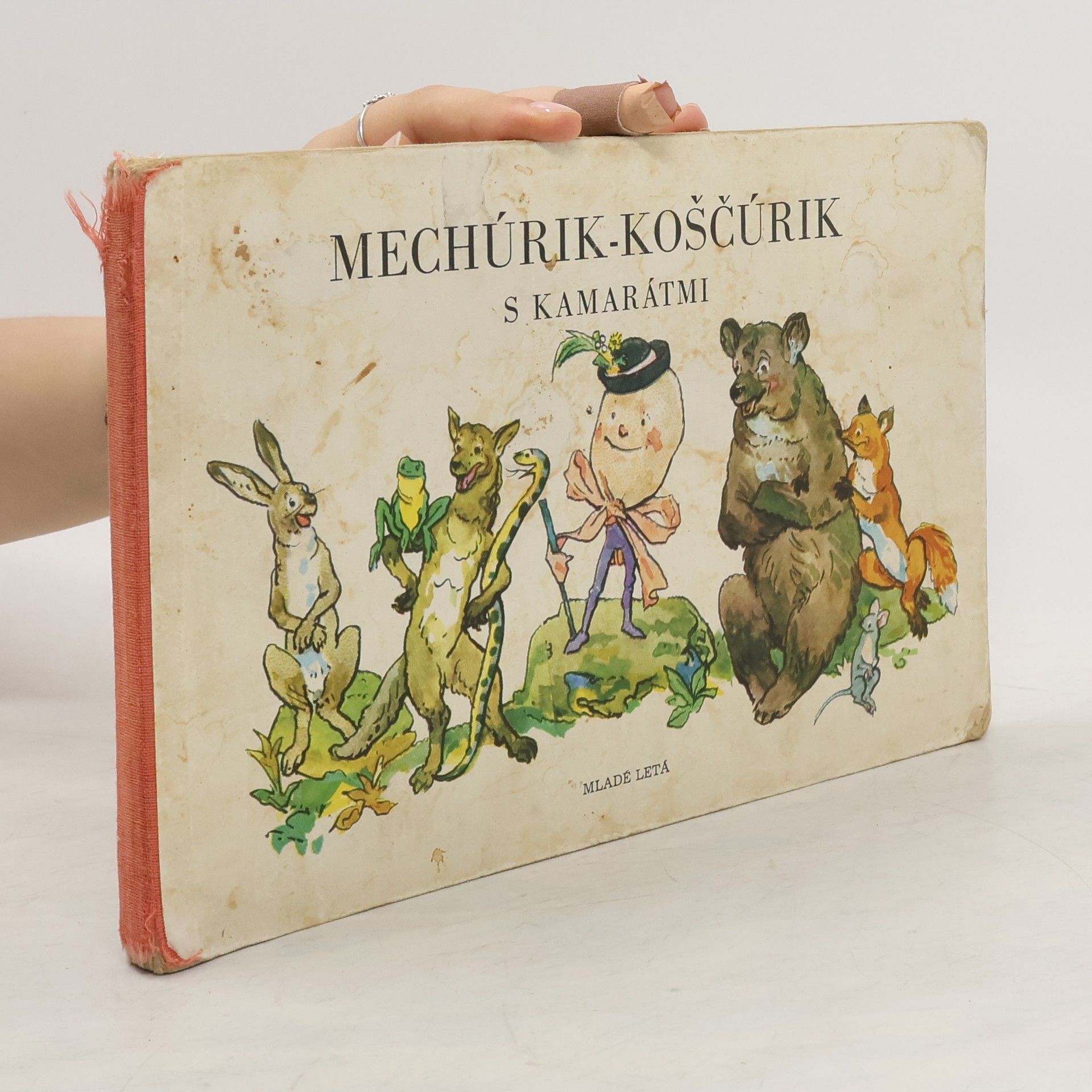 Milan Rúfus Mechúrik-Koščúrik s kamarátmi