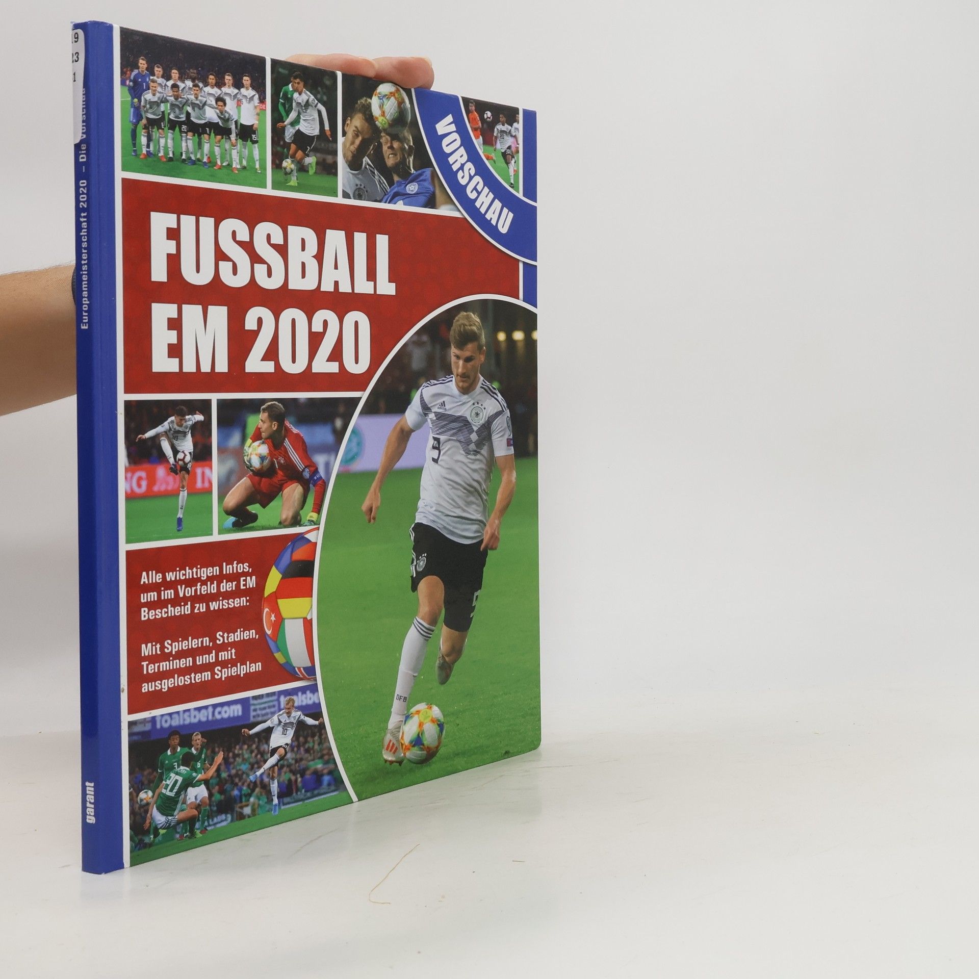 Christoph Leischwitz Fussball EM 2020 - Vorschau