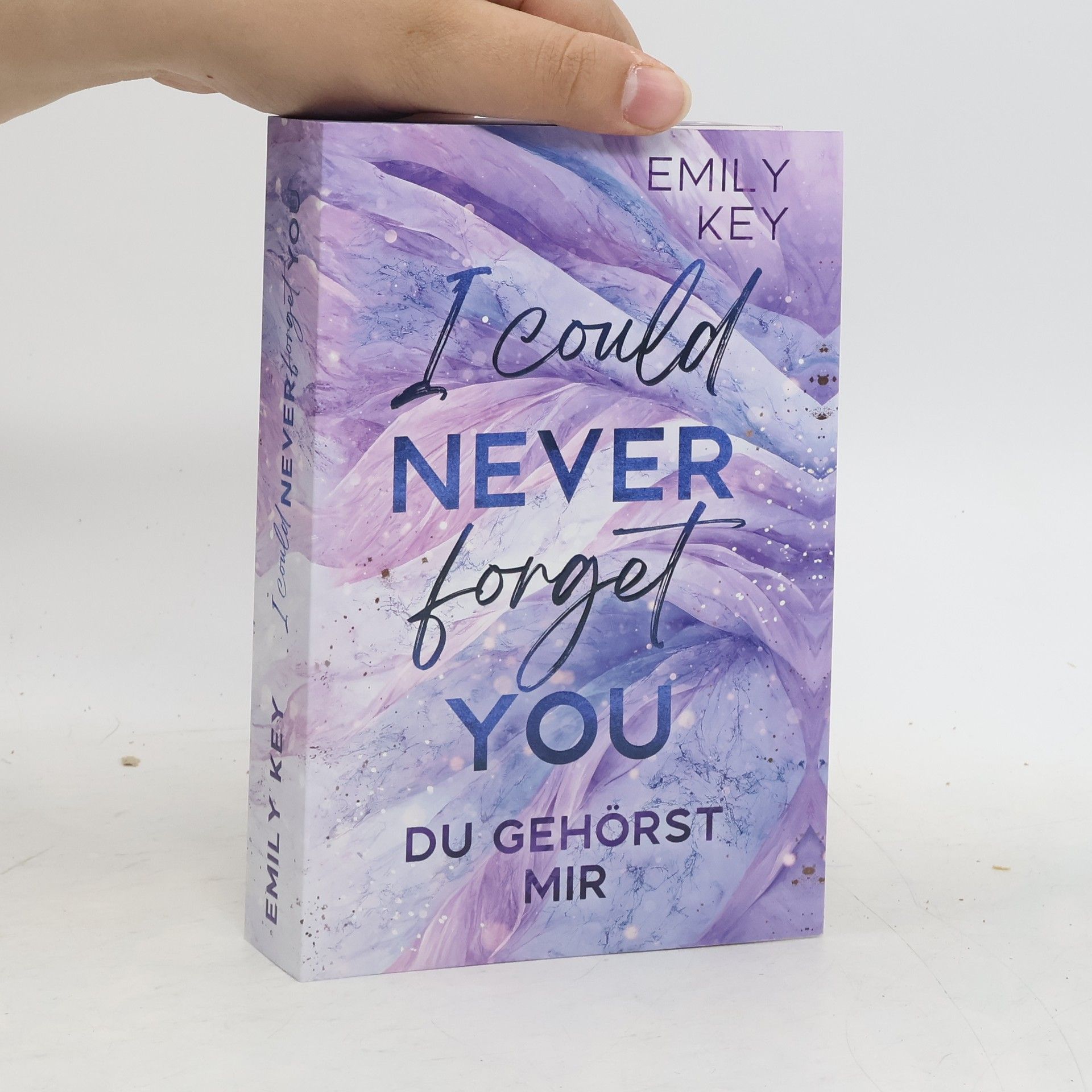 Emily Key I Could Never Forget You. Du gehörst mir