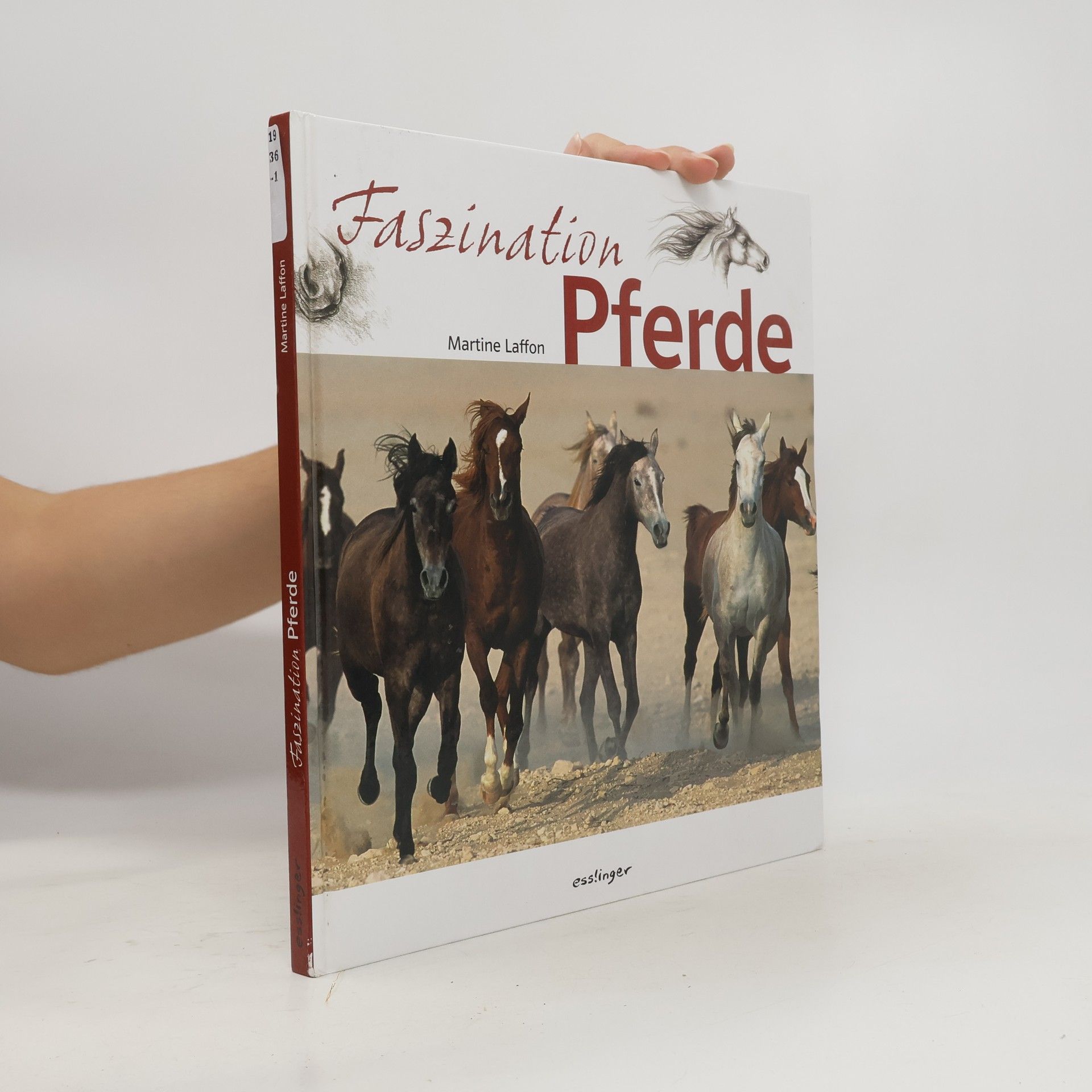 Martine Laffon Faszination Pferde