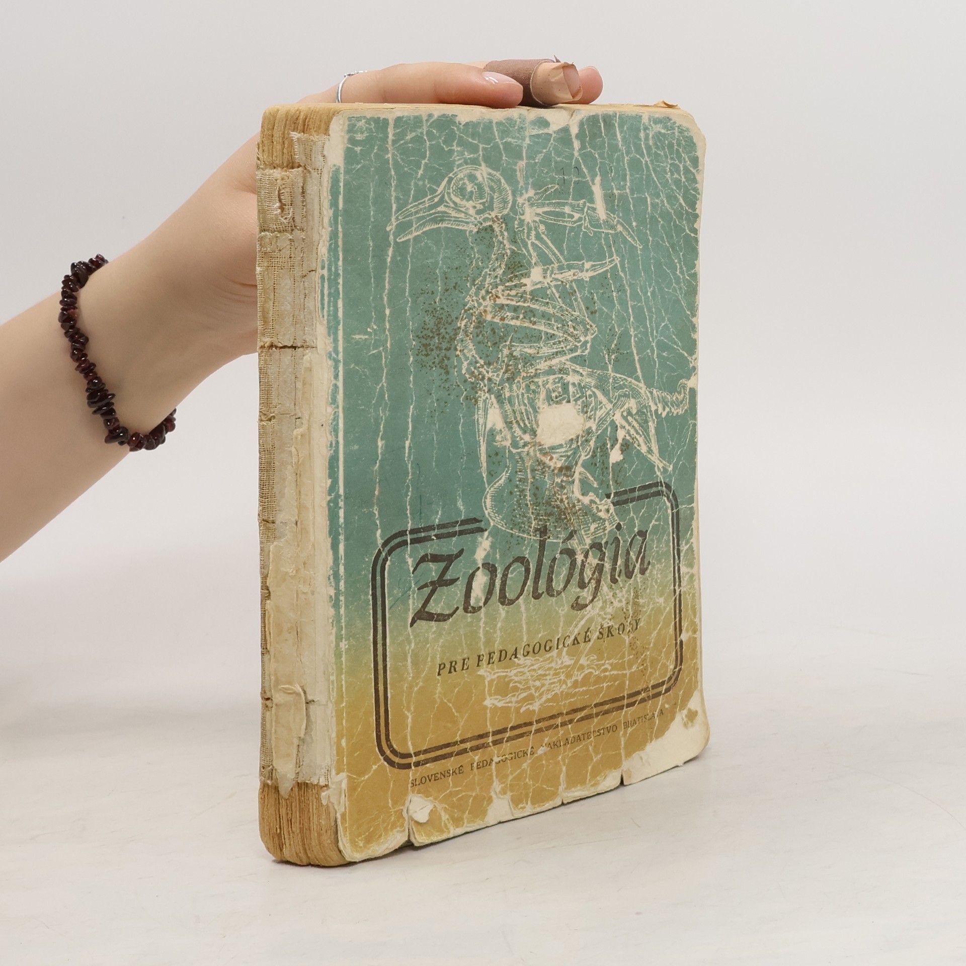 Collectif d'auteurs Zoológia pro pedagogické školy