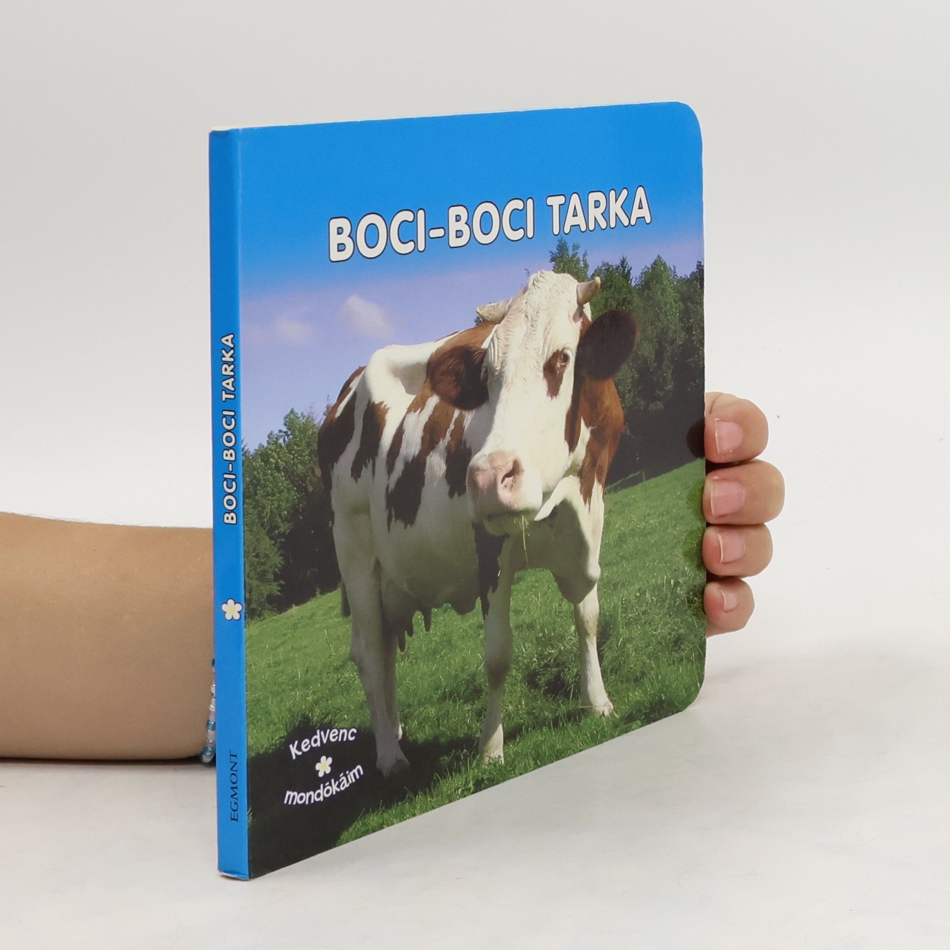 Collectif d'auteurs Boci-boci tarka