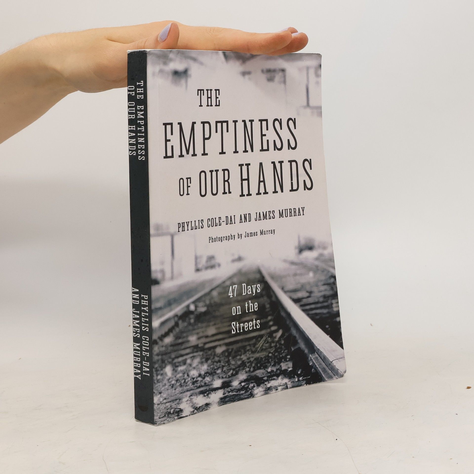 Phyllis Cole-Dai The Emptiness of Our Hands