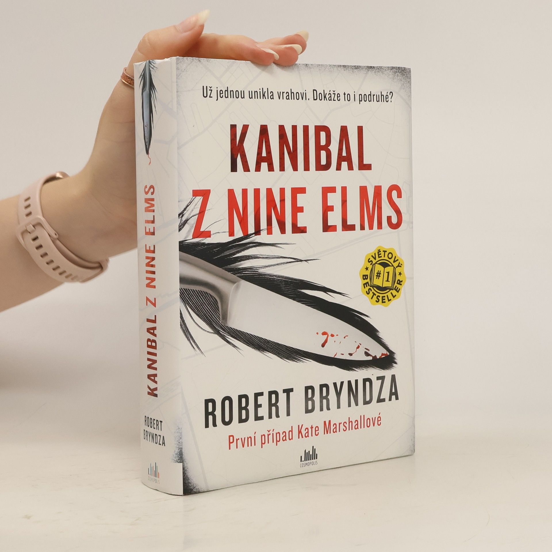 Robert Bryndza Kanibal z Nine Elms