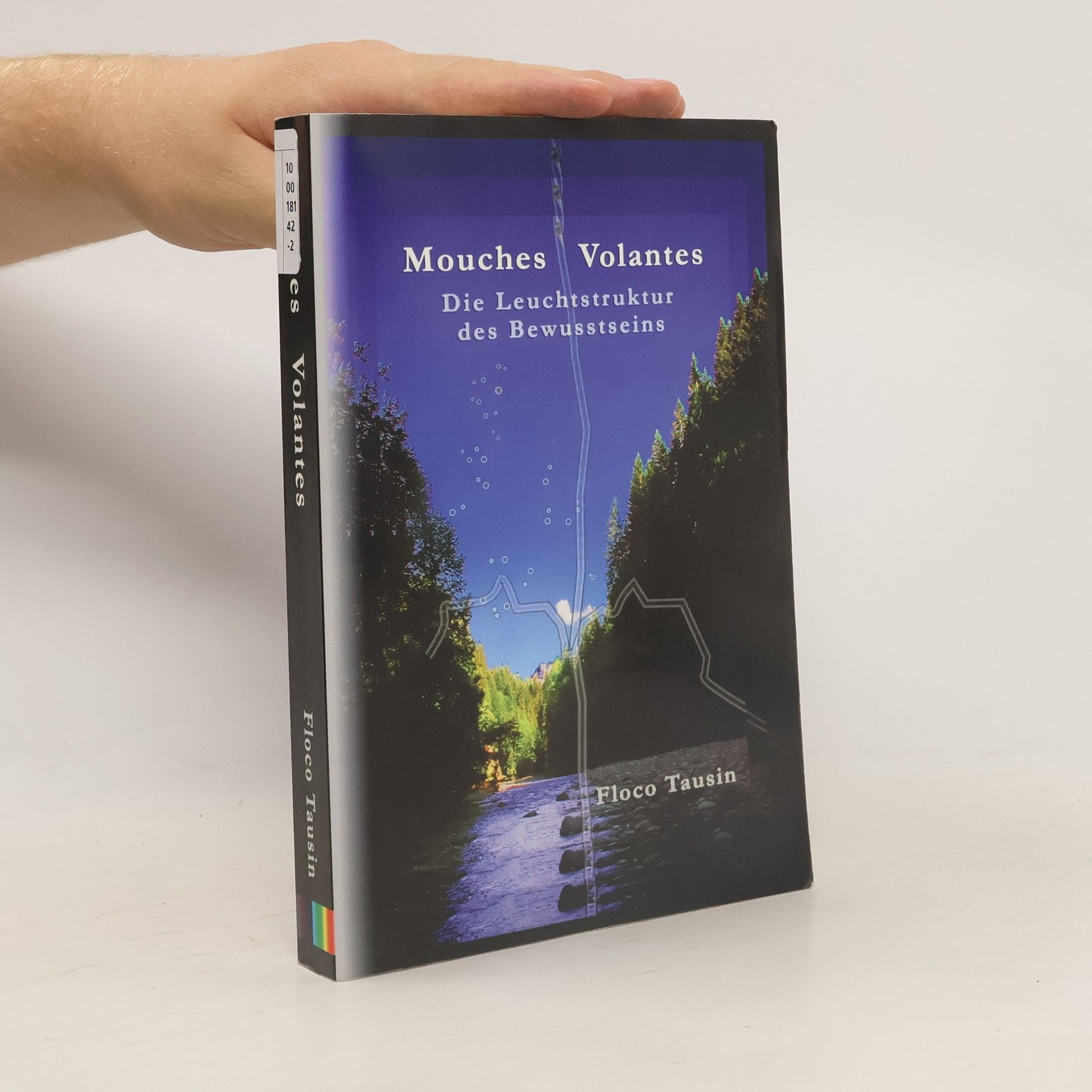 Flocco Tausin Mouches Volantes