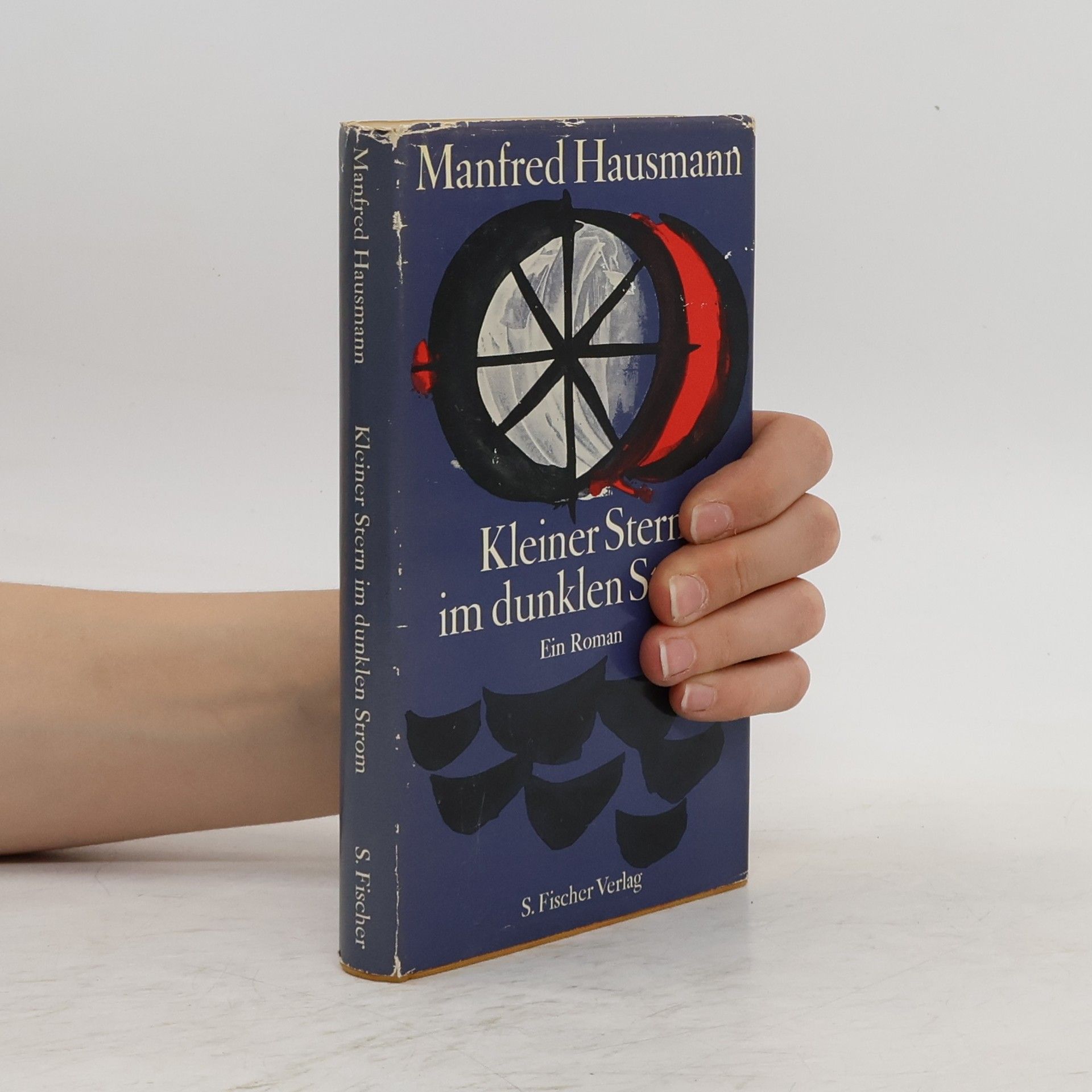 Manfred Hausmann Kleiner Stern im dunklen Strom