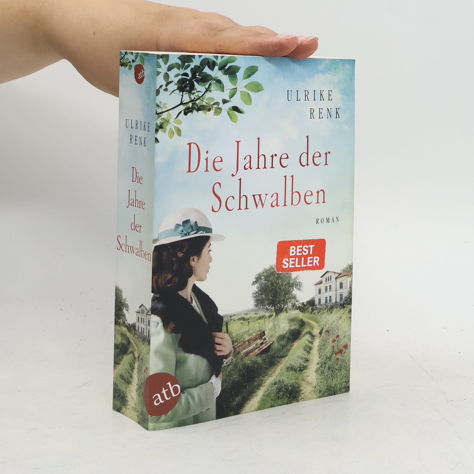 Ulrike Renk Die Jahre der Schwalben