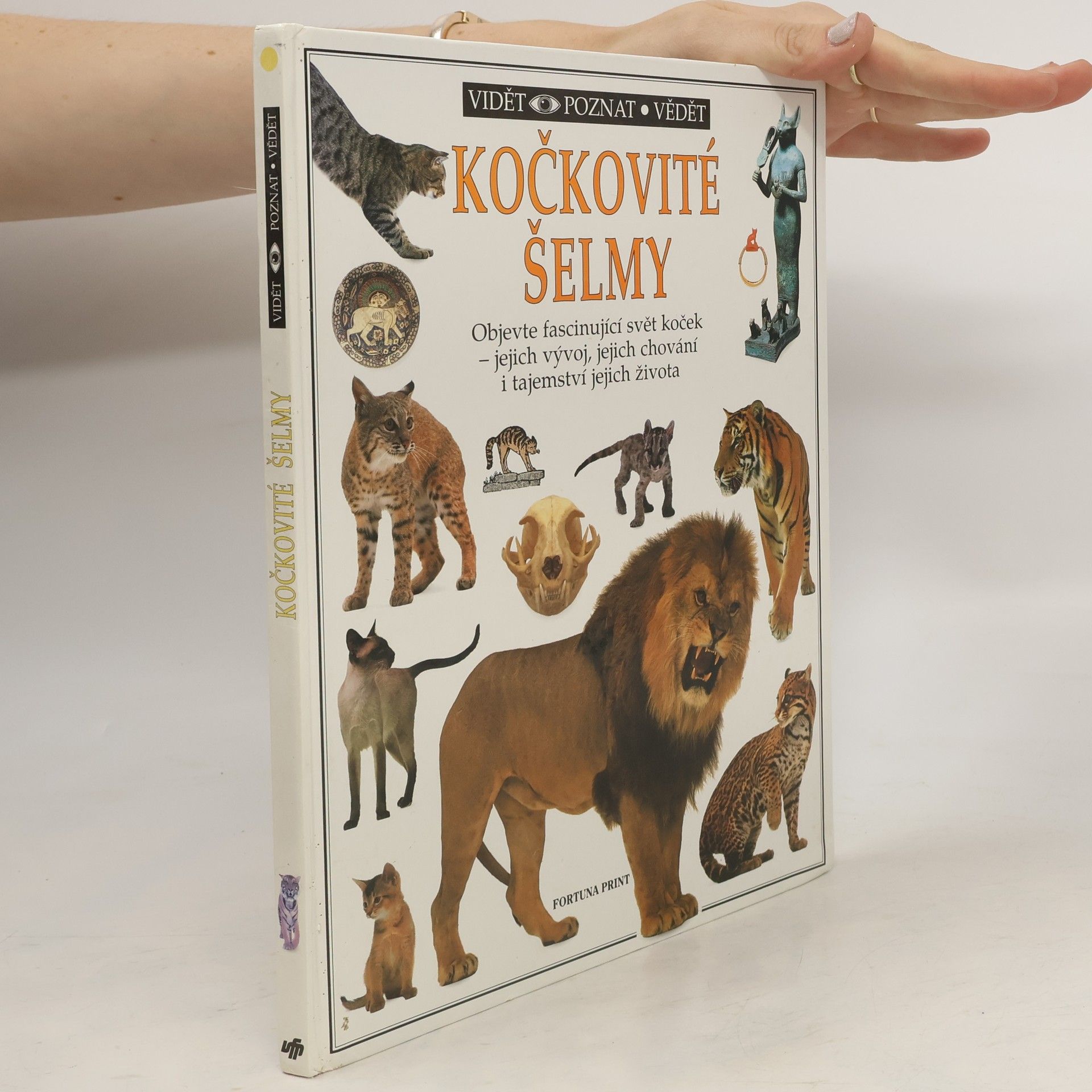 Juliet Clutton-Brock Kočkovité šelmy