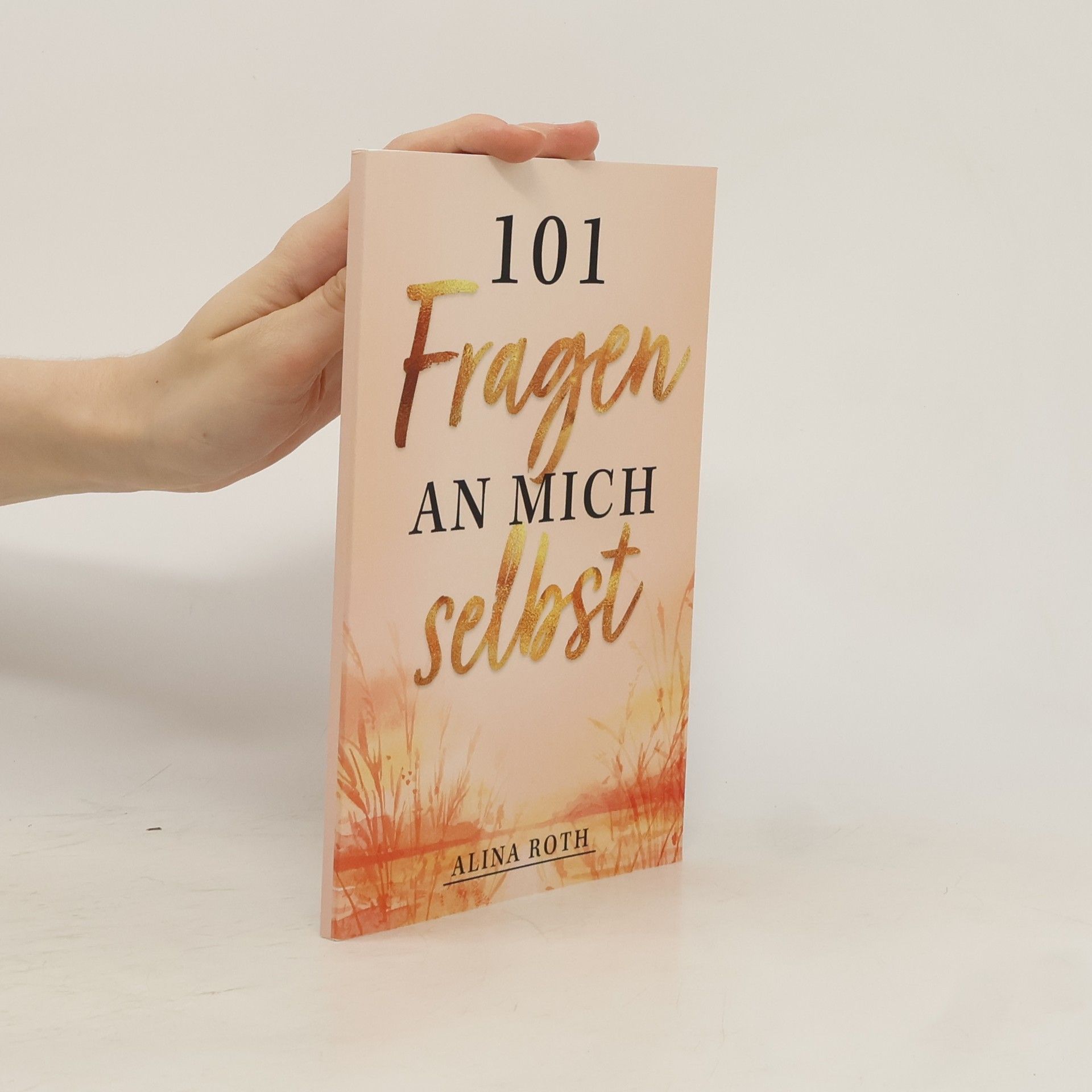 Alina Roth 101 Fragen an mich selbst