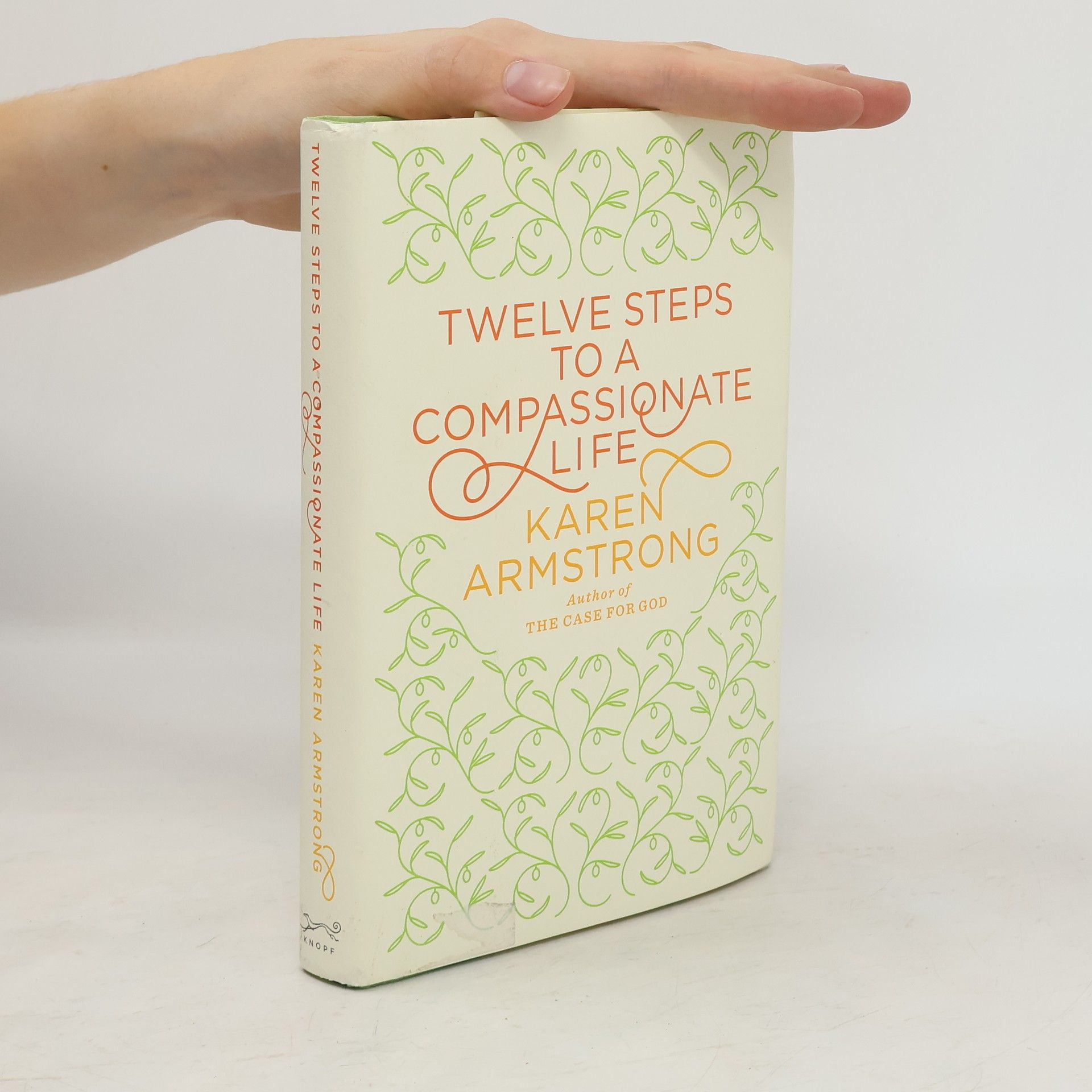 Karen Armstrong Twelve steps to a compassionate life