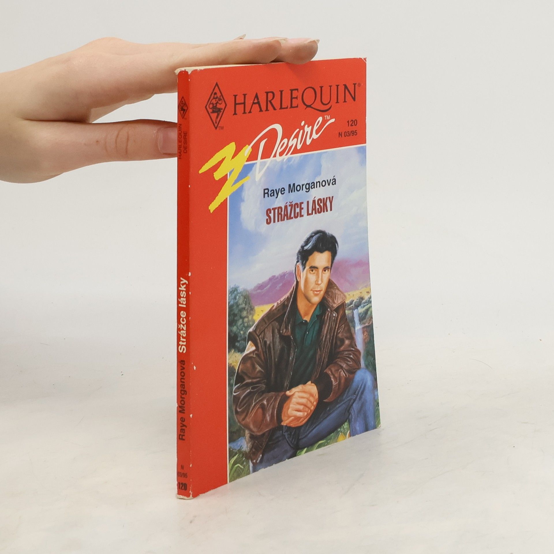 Raye Morgan Strážce lásky