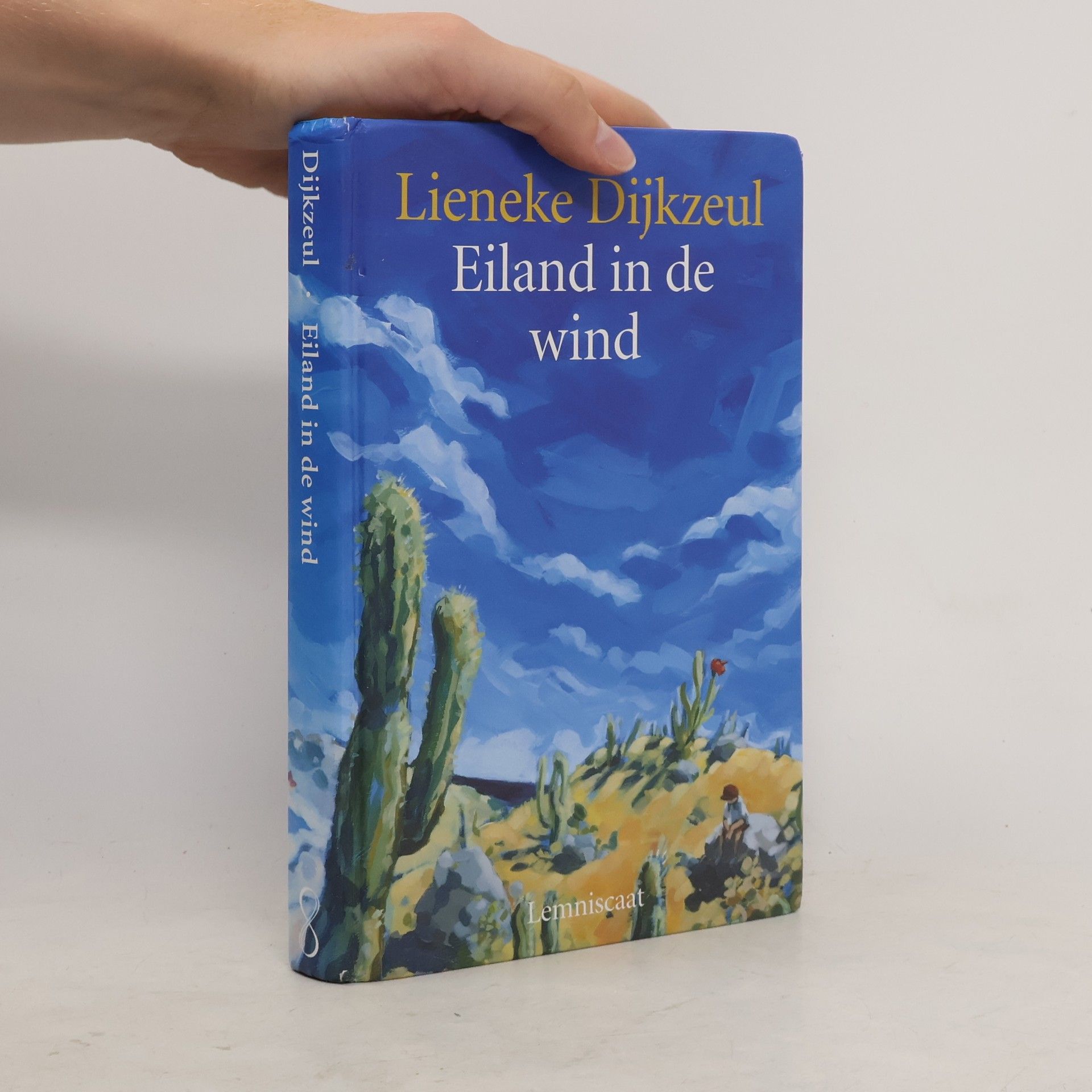 Lieneke Dijkzeul Eiland in de wind