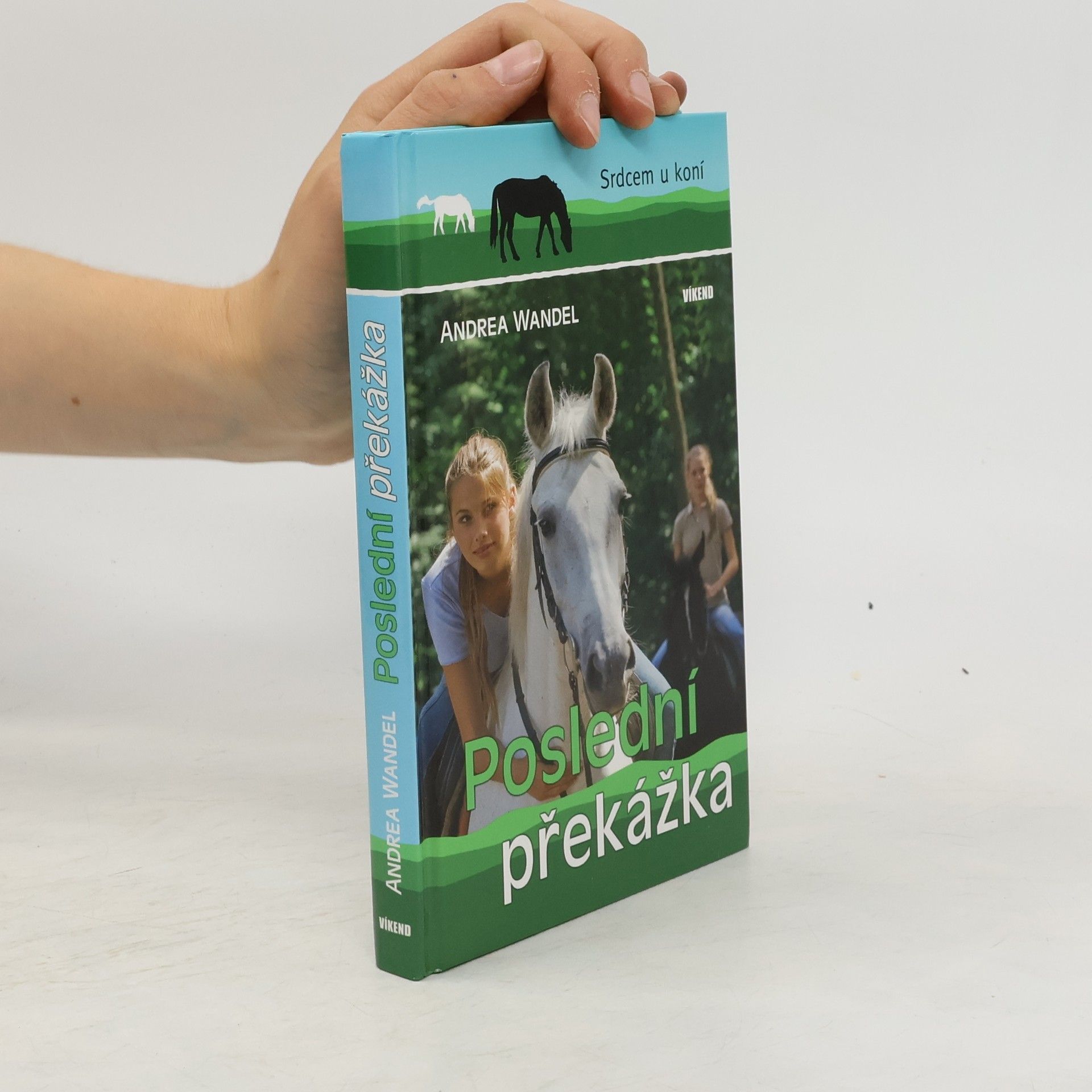 Andrea Wandel Poslední překážka