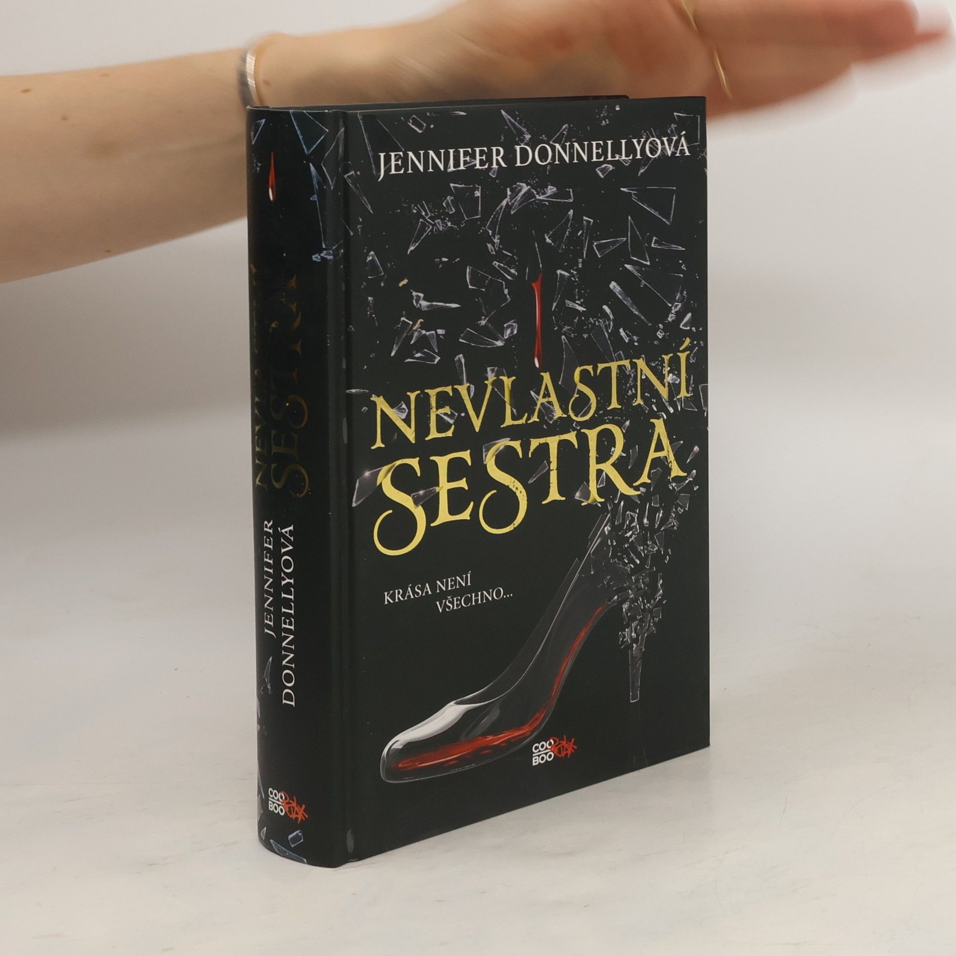 Jennifer Donnelly Nevlastní sestra