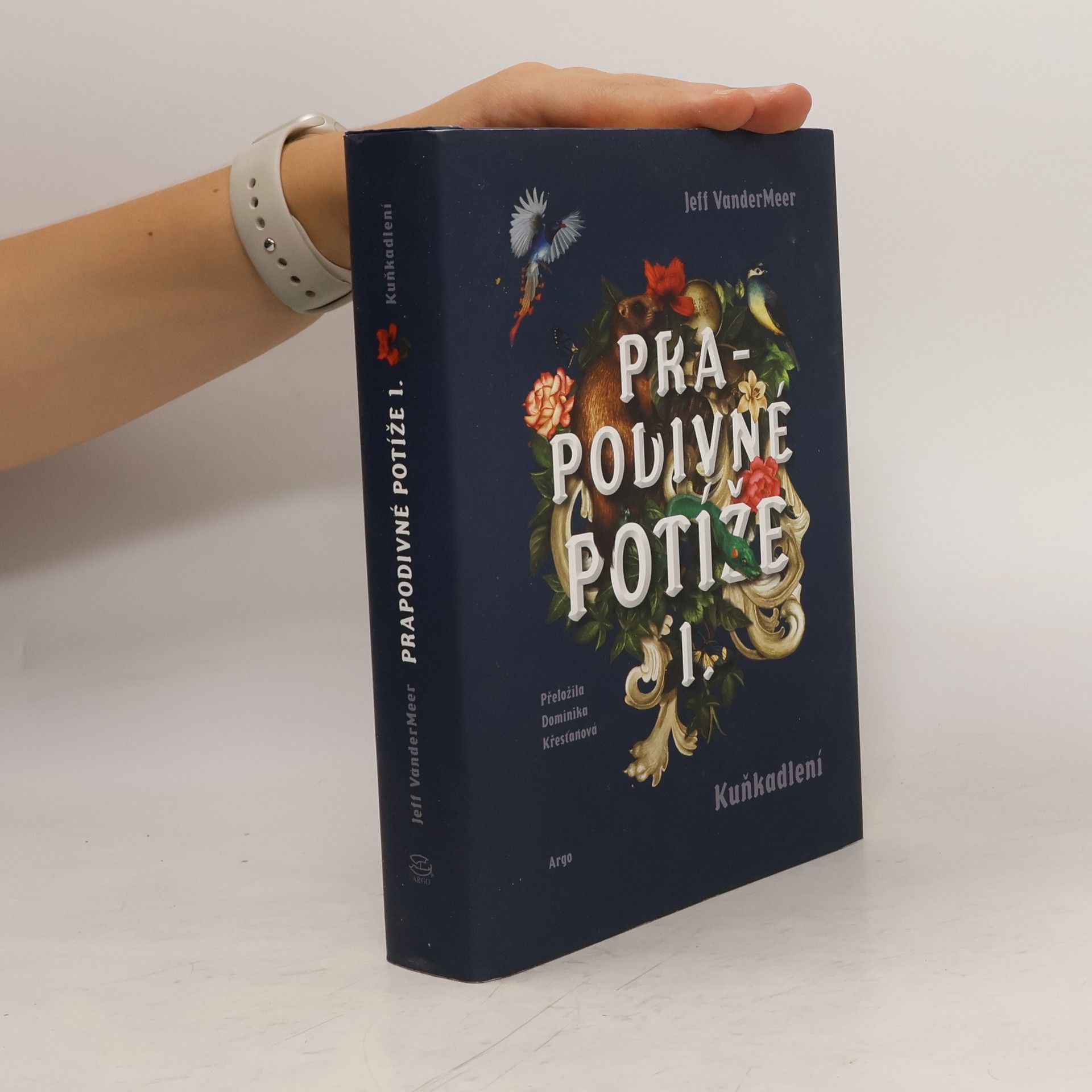 Jeff VanderMeer Prapodivné potíže: Útrapy a ústrky Jonathana Lambsheada