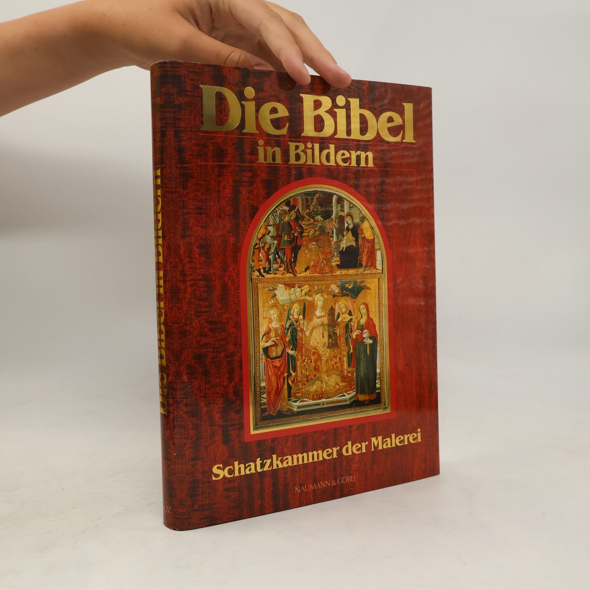 Autorenkollektiv Die Bibel in Bildern. Schatzkammer der Malerei