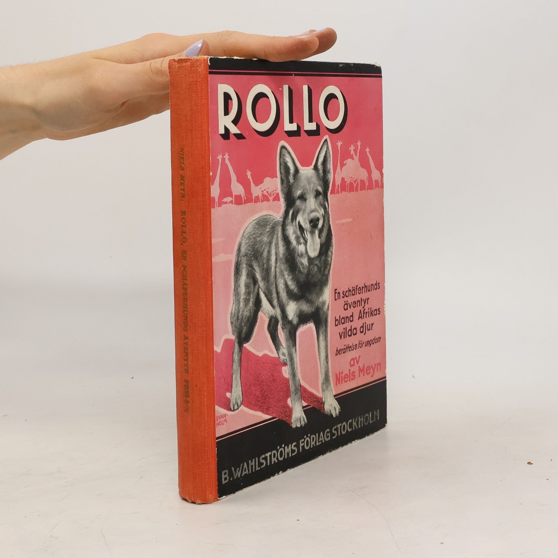 Niels Meyn Rollo