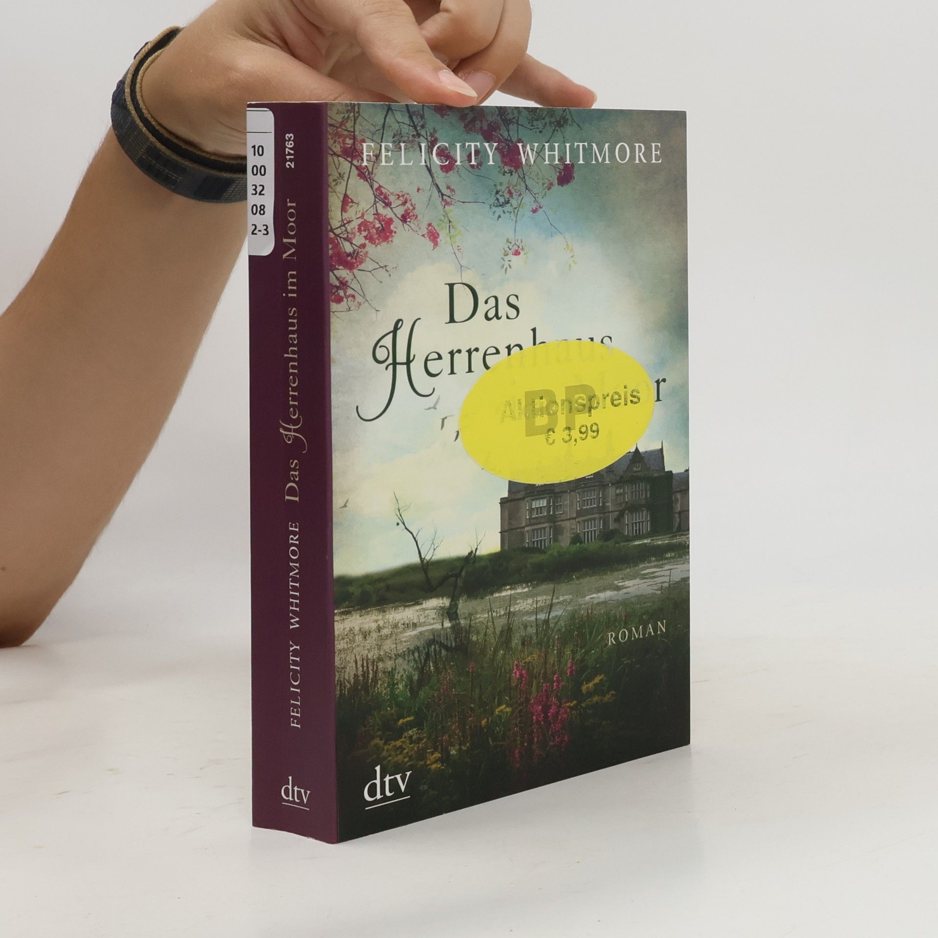 Das Herrenhaus im Moor